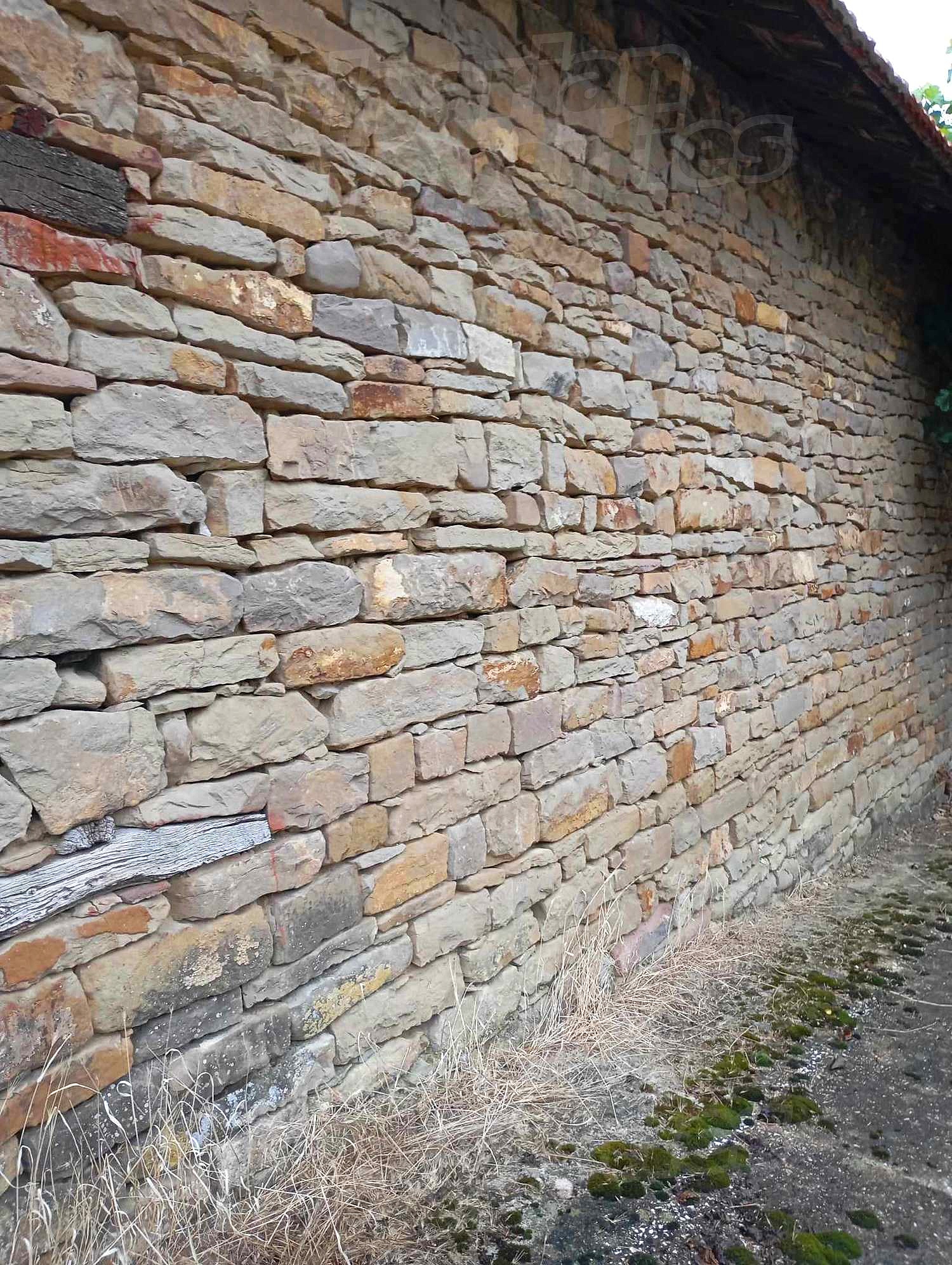 Gallery Picture 18