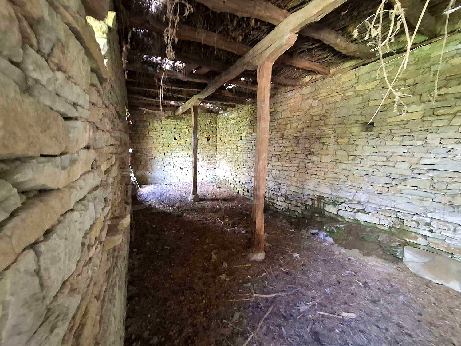Gallery Picture 36