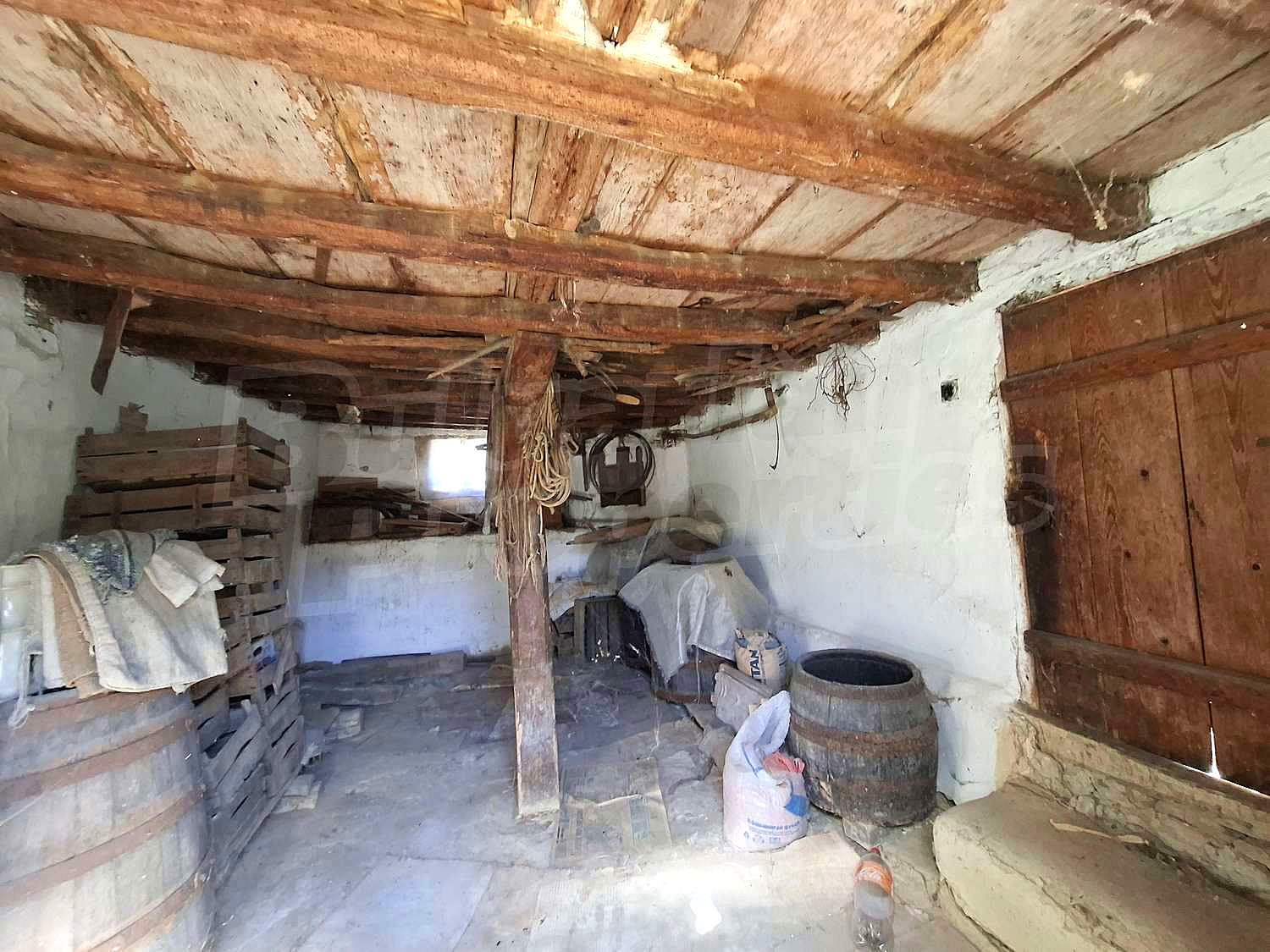 Gallery Picture 5