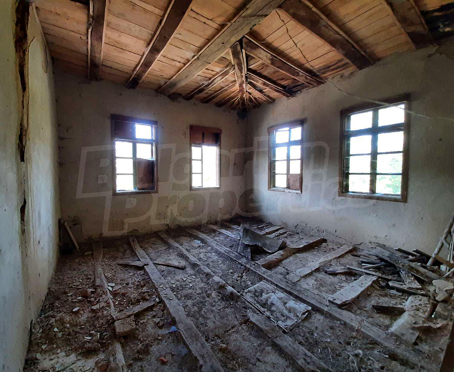 Gallery Picture 5