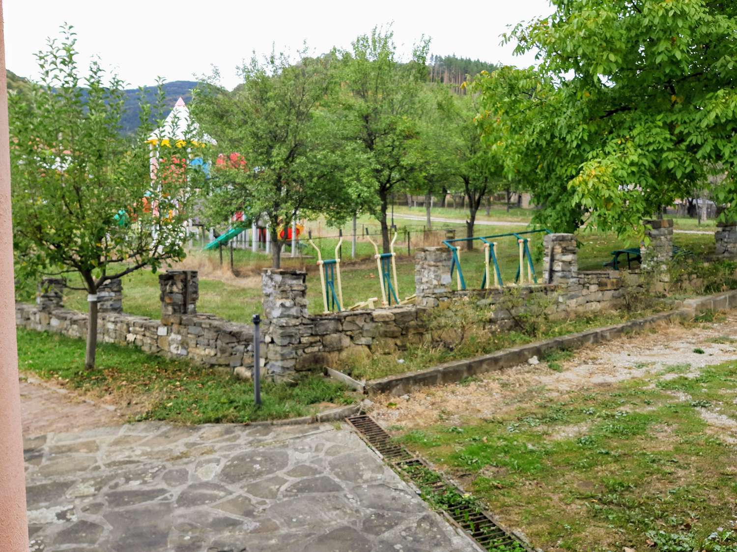 Gallery Picture 41