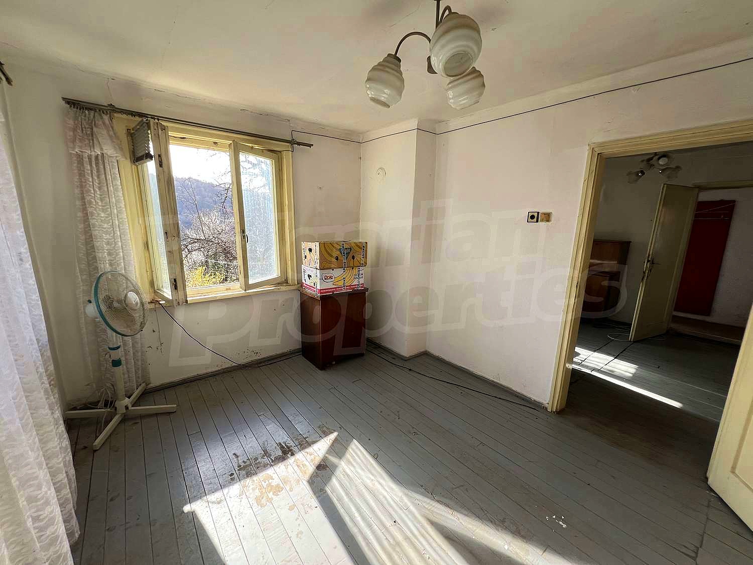 Gallery Picture 4