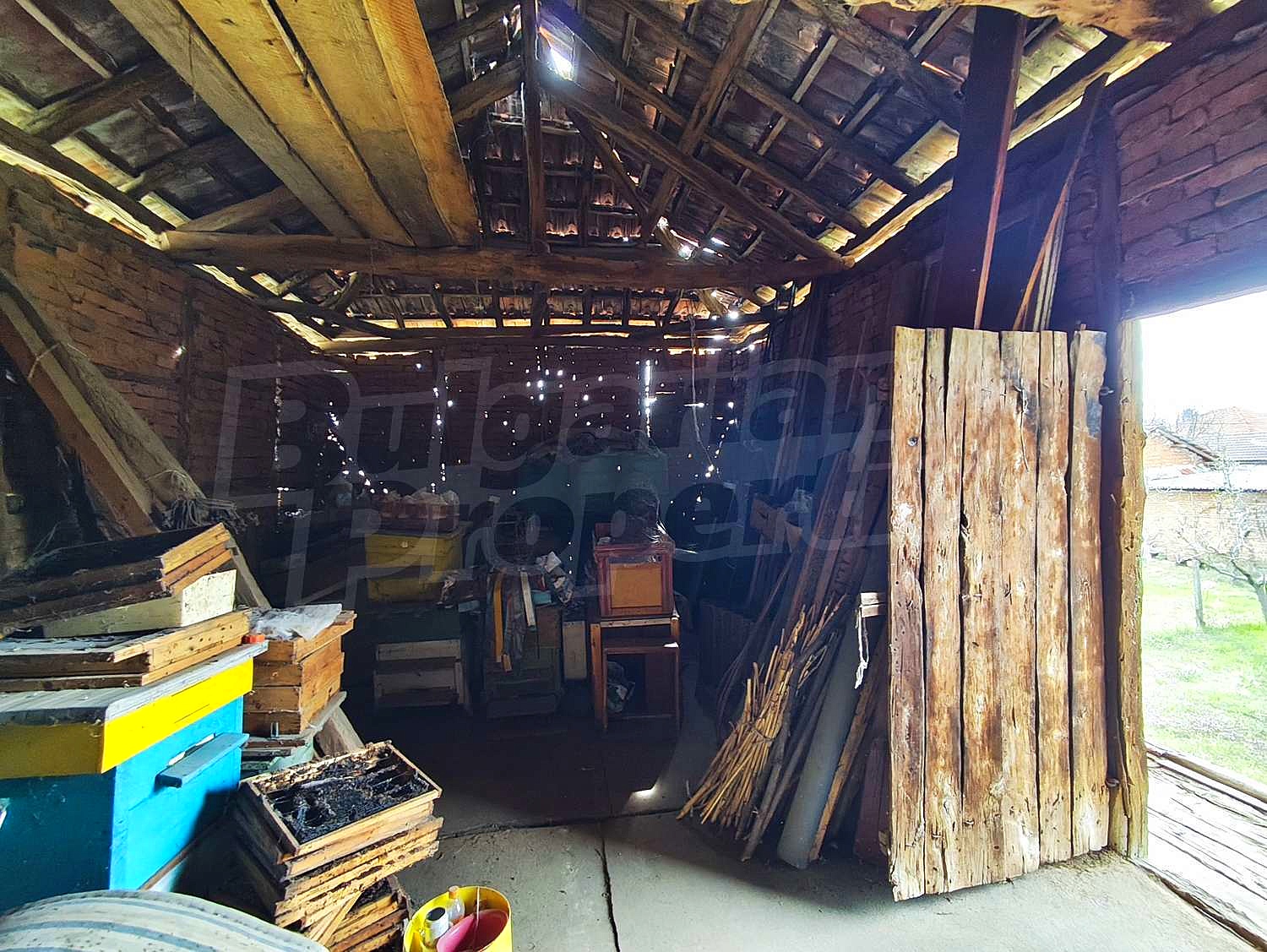 Gallery Picture 35