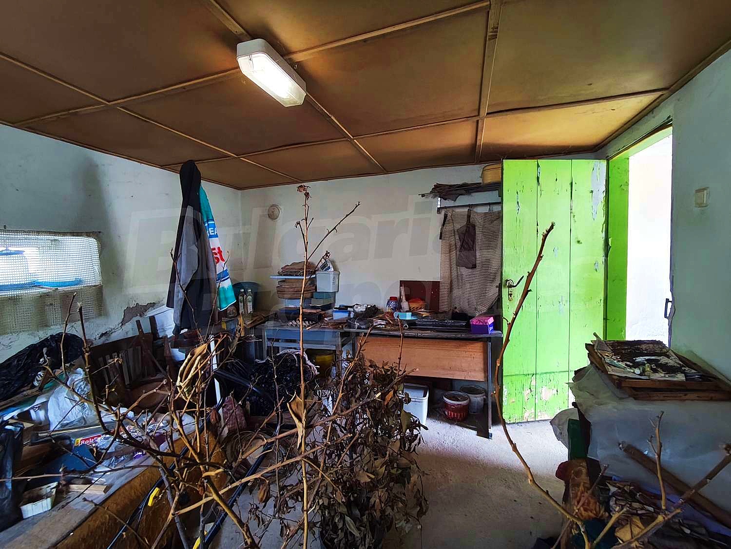 Gallery Picture 16