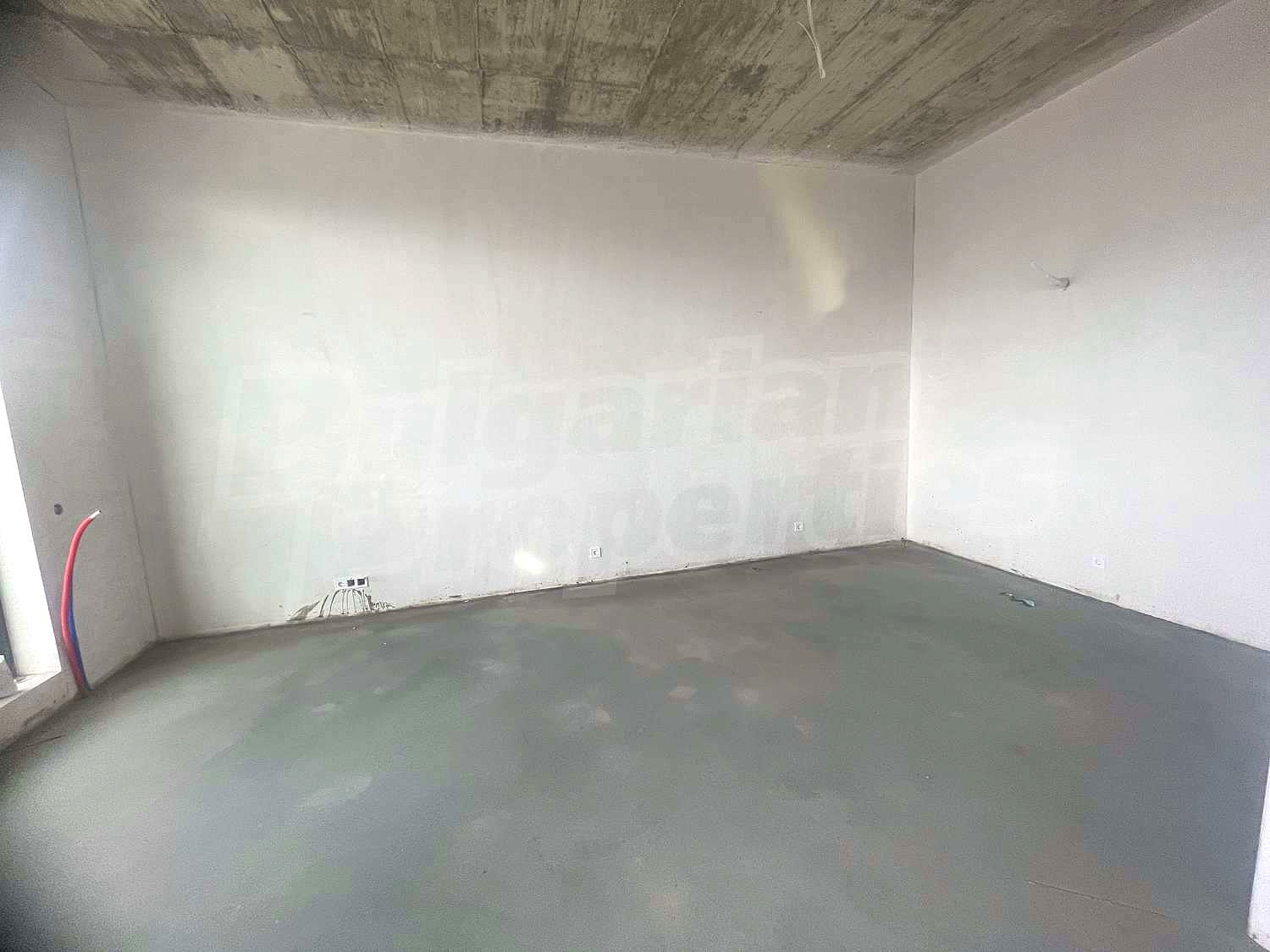 Gallery Picture 19