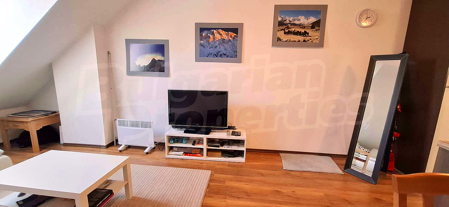 Gallery Picture 5