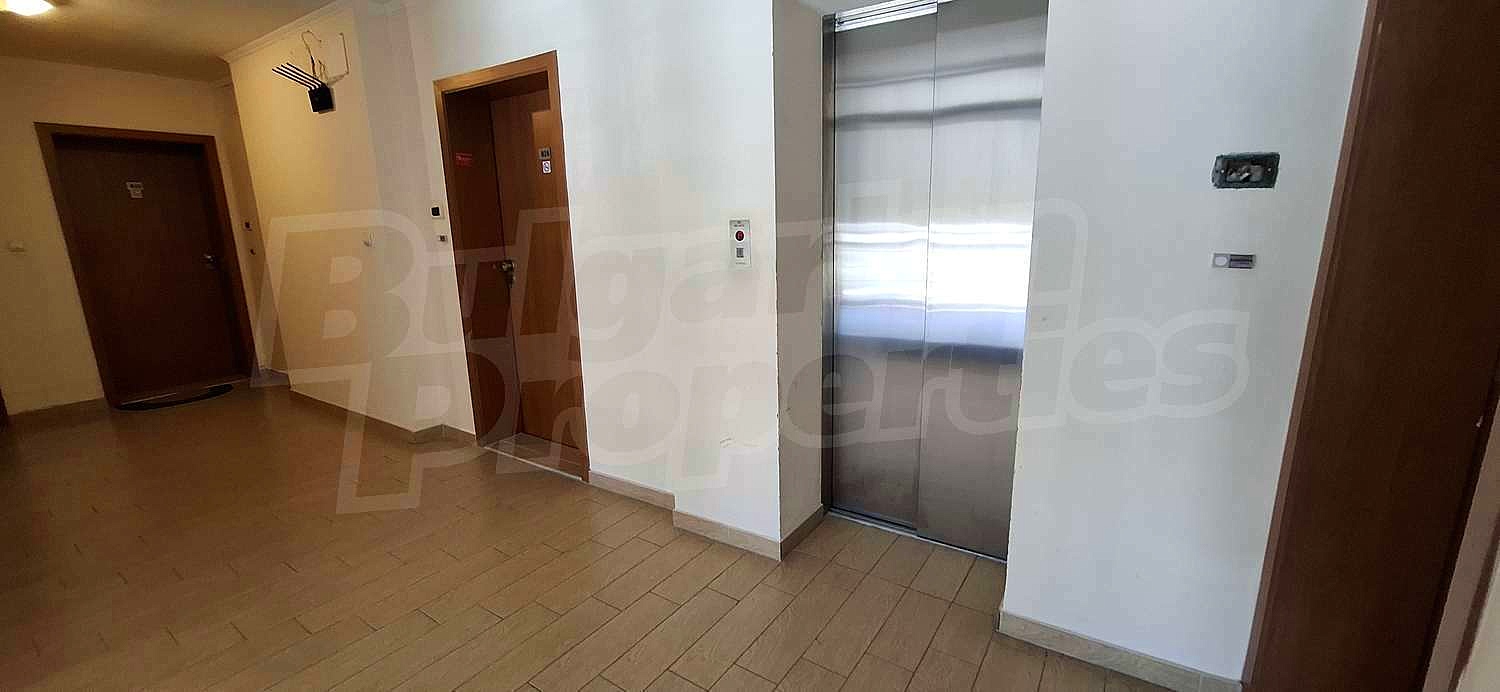 Gallery Picture 17