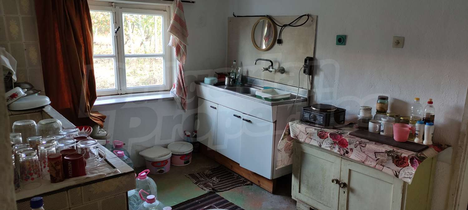 Gallery Picture 11
