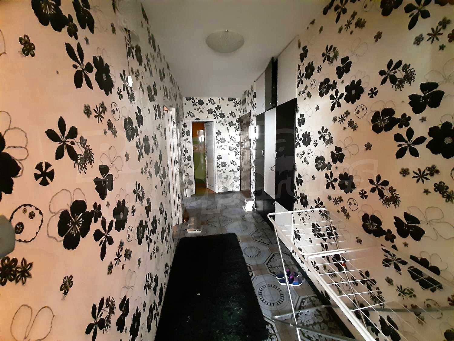 Gallery Picture 5