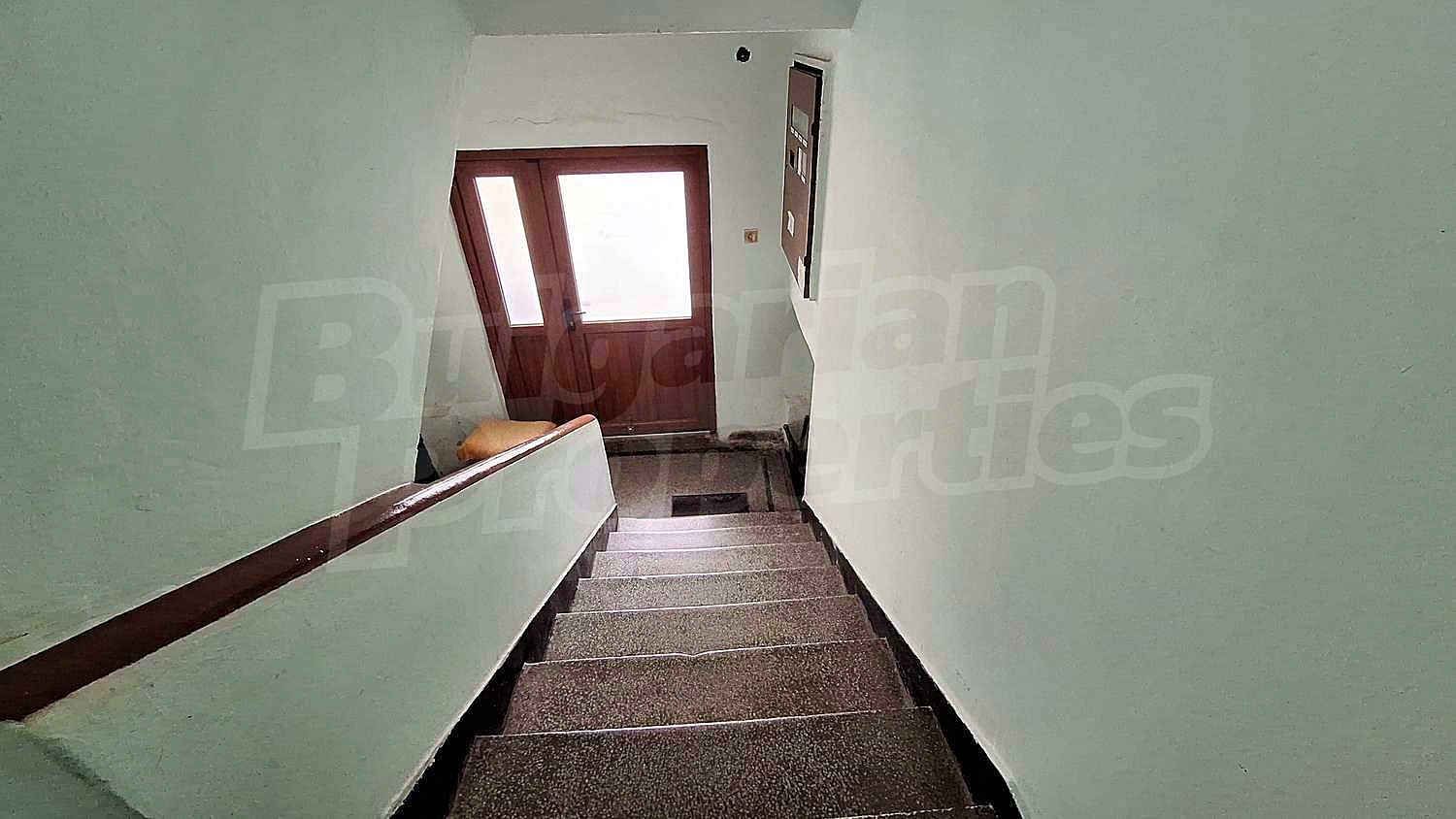 Gallery Picture 5