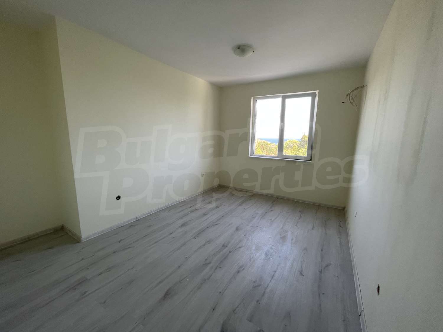 Gallery Picture 3