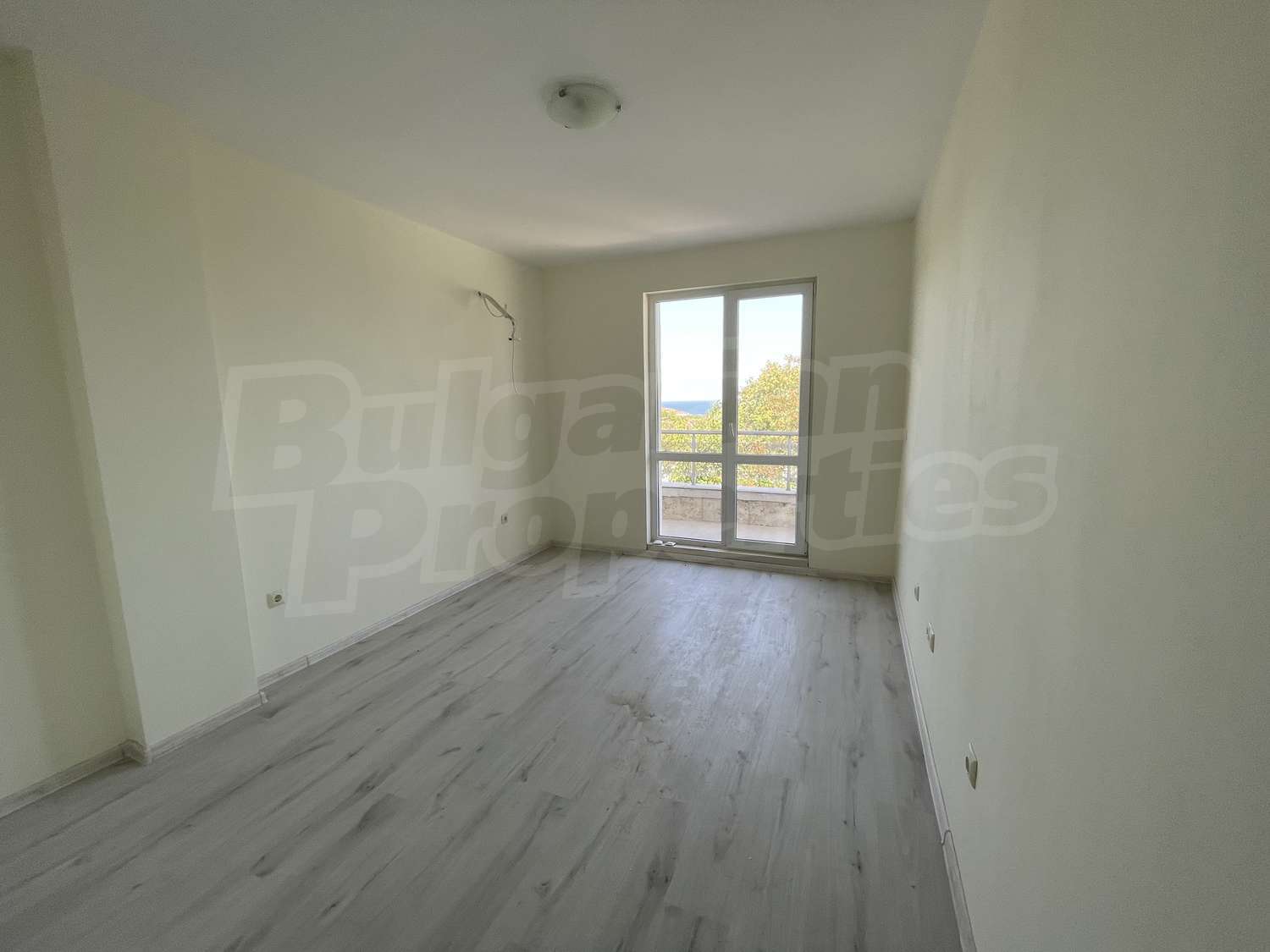 Gallery Picture 7
