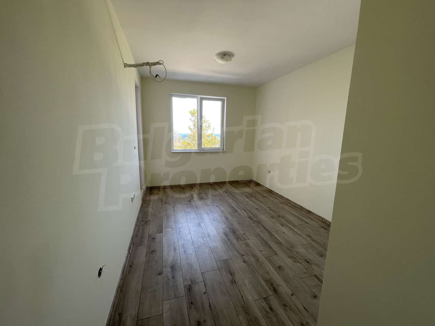 Gallery Picture 3