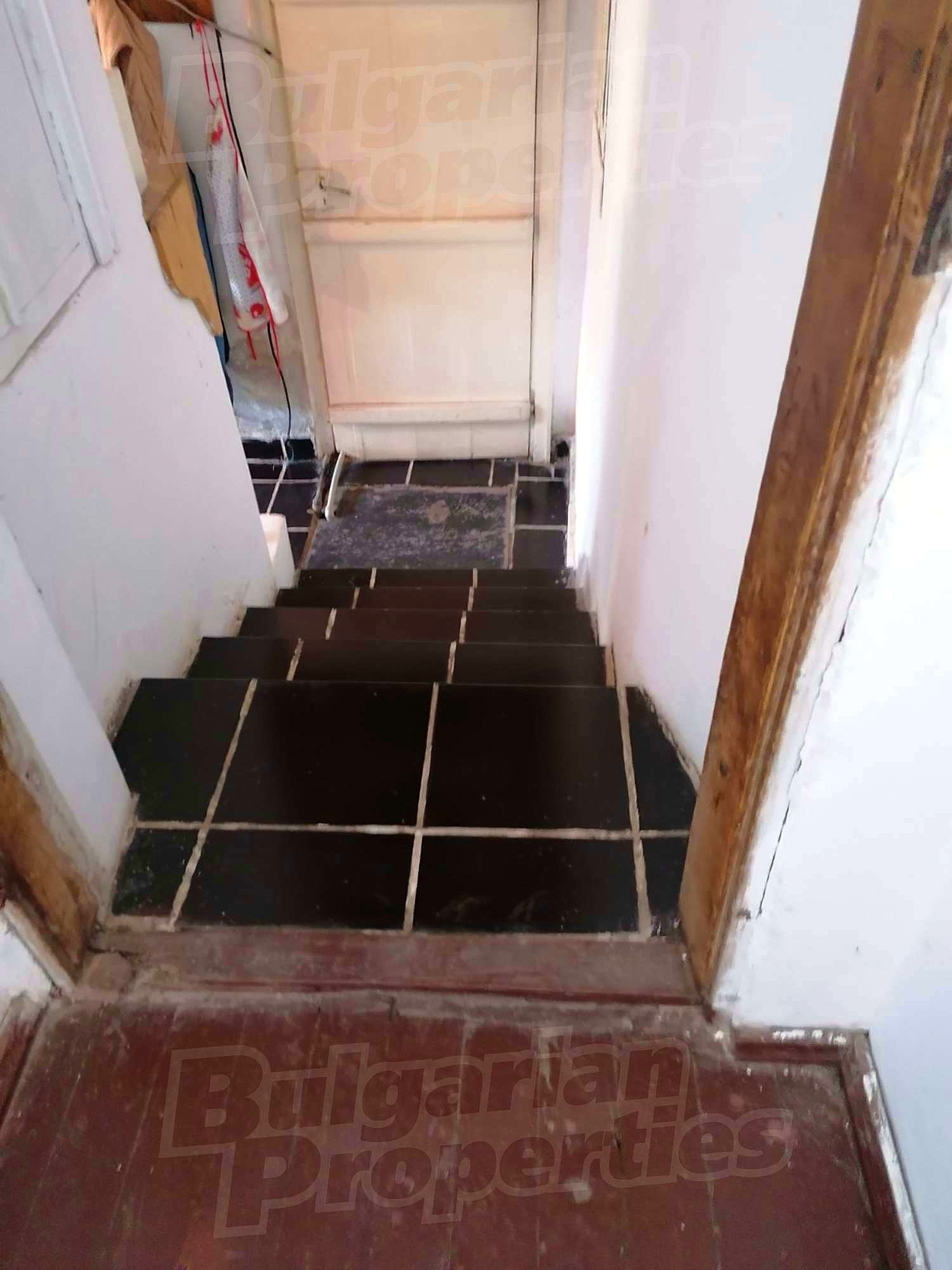 Gallery Picture 19