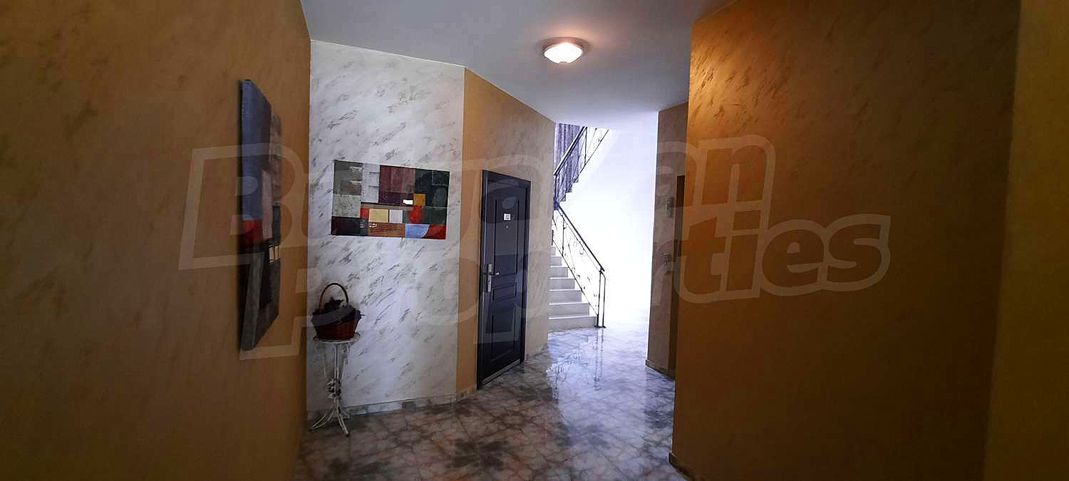 Gallery Picture 26