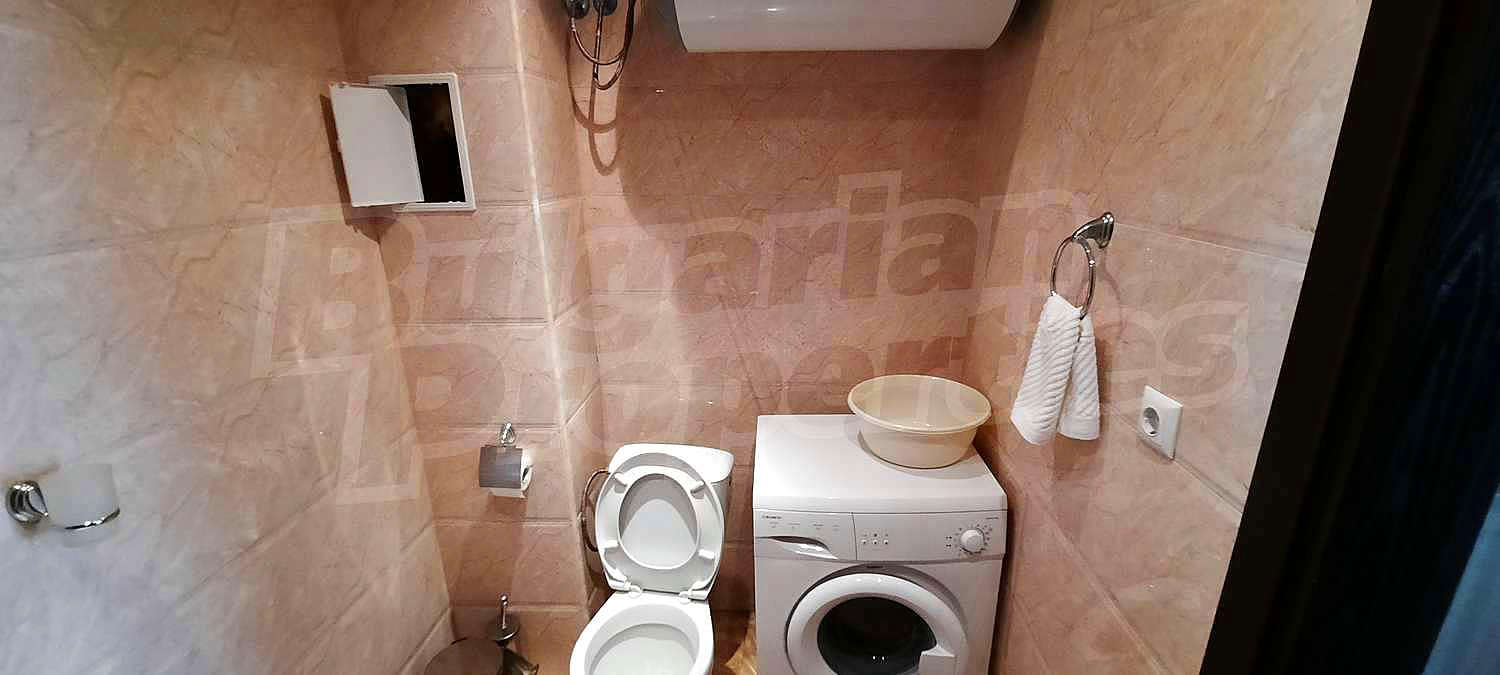 Gallery Picture 38