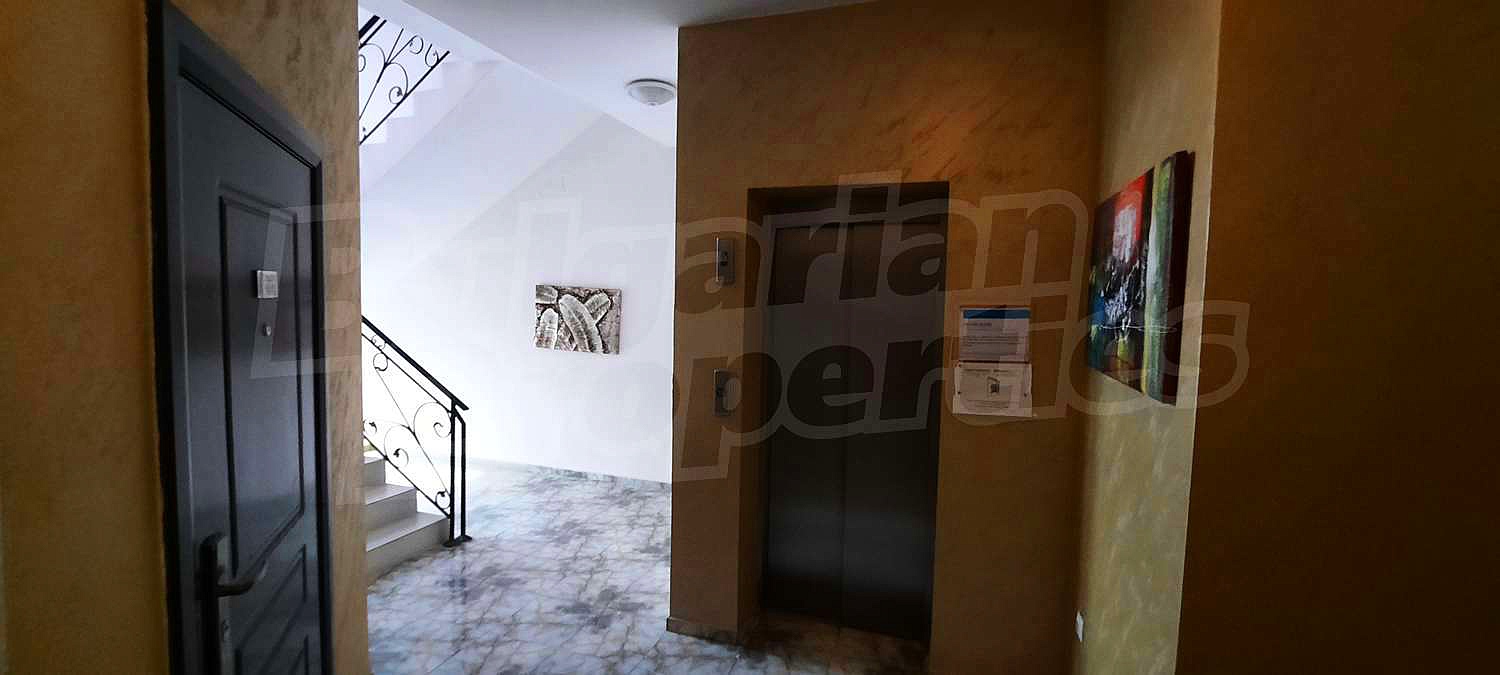 Gallery Picture 27
