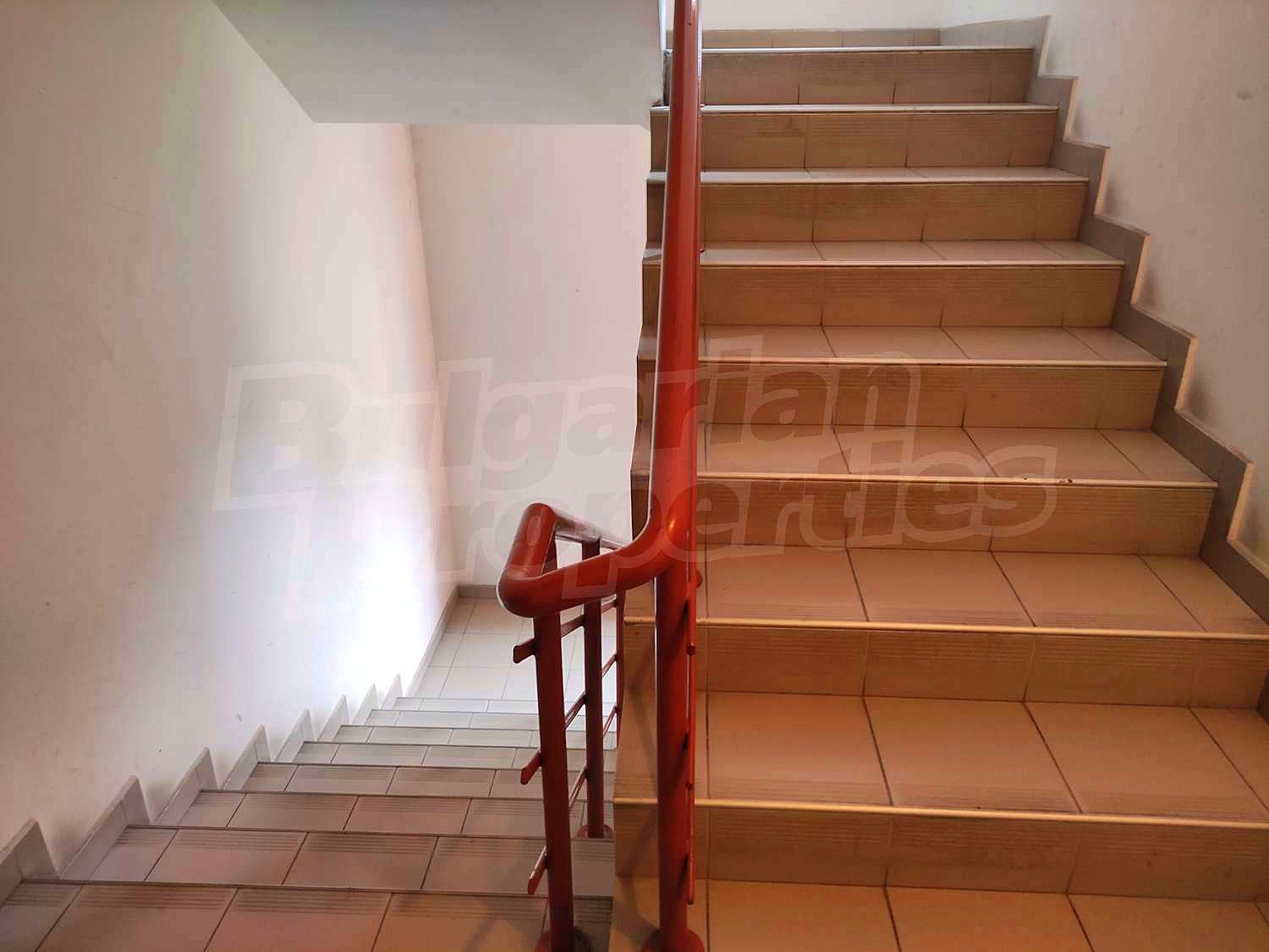 Gallery Picture 19