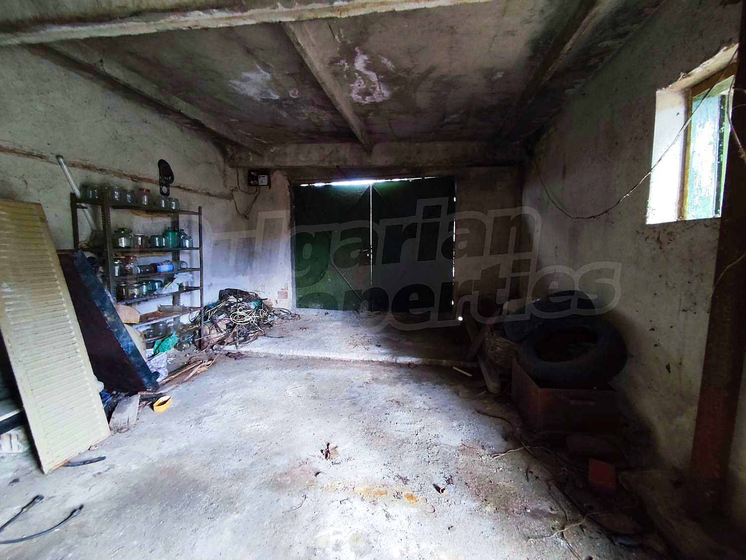 Gallery Picture 43