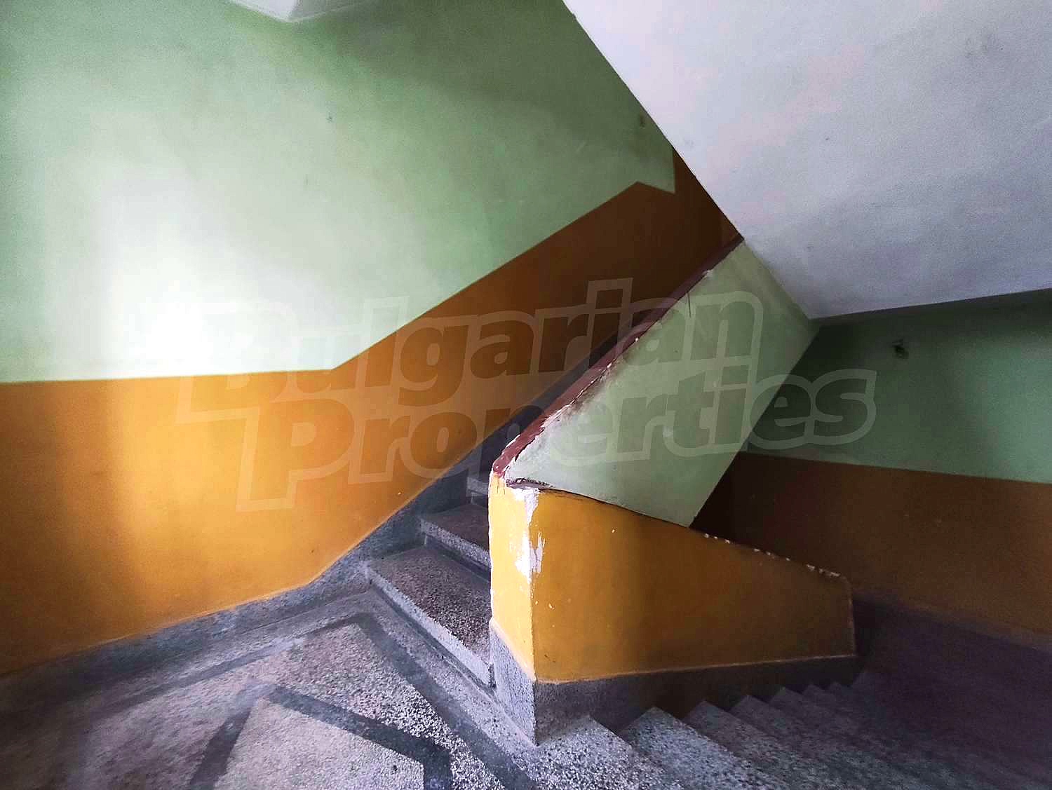 Gallery Picture 25