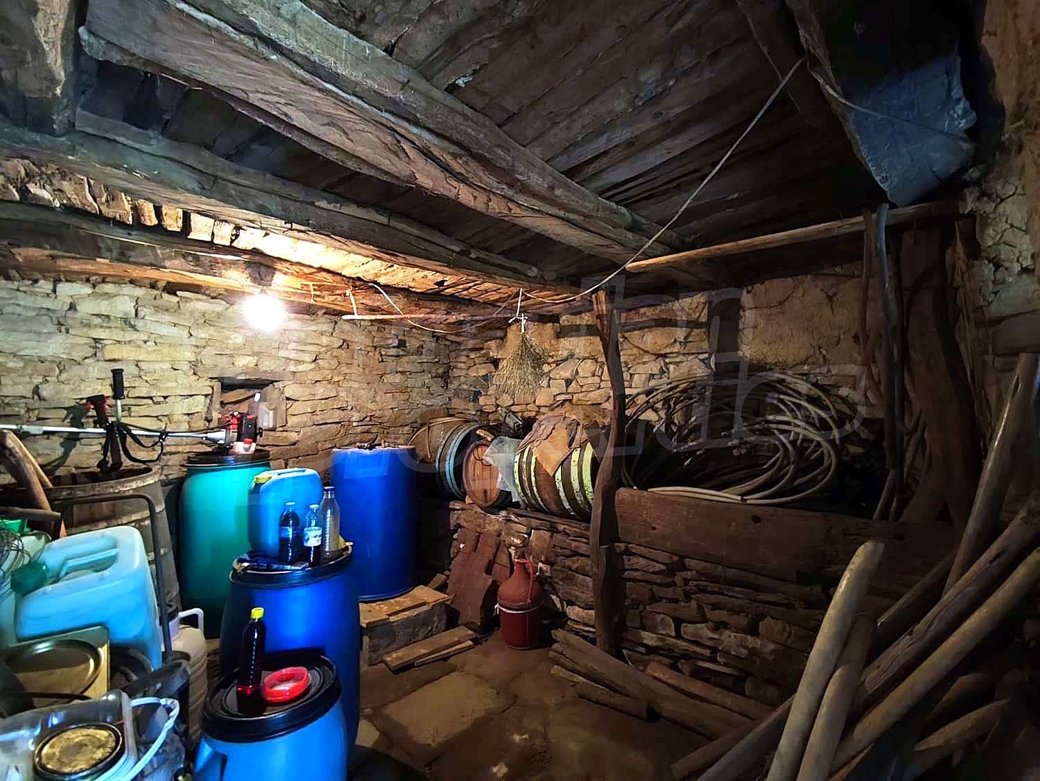 Gallery Picture 30