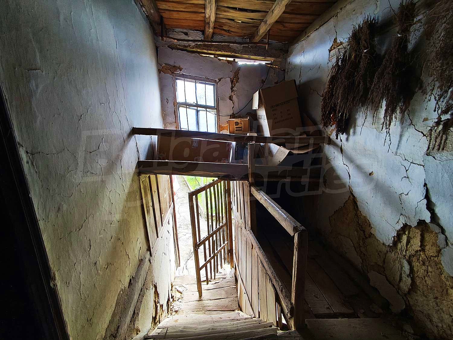 Gallery Picture 35