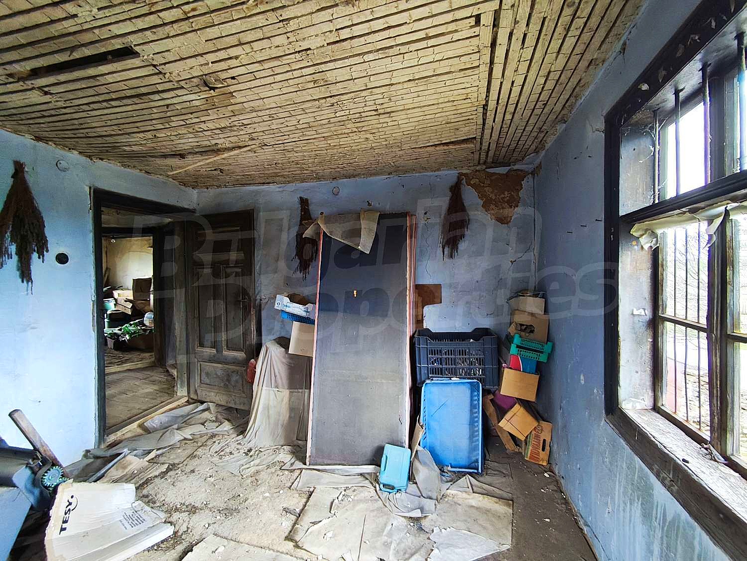 Gallery Picture 41