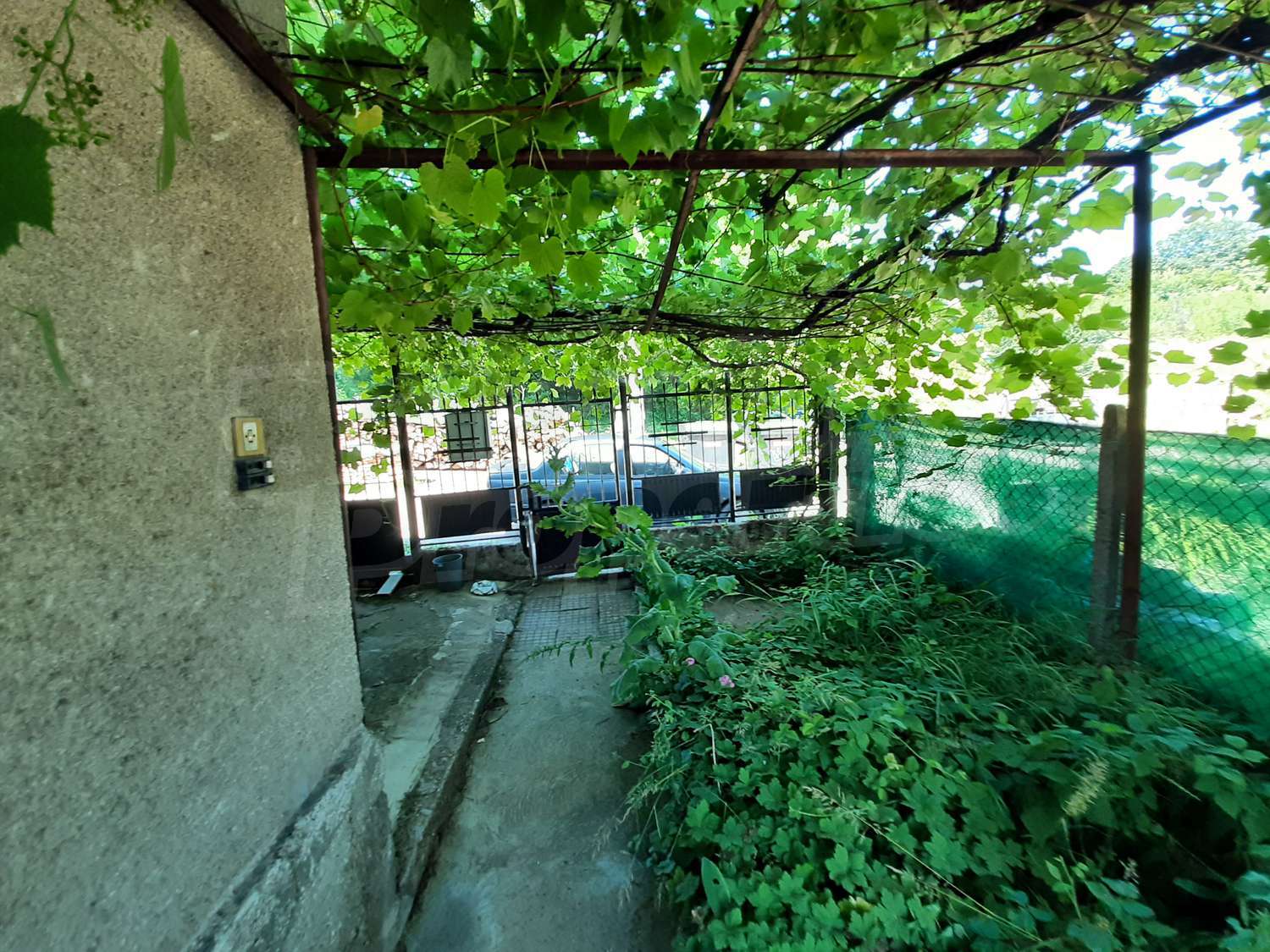 Gallery Picture 27