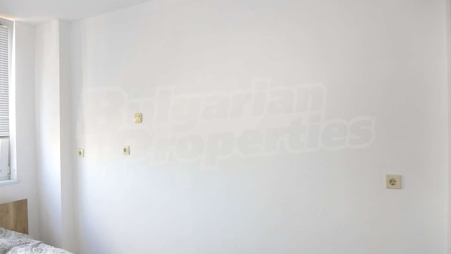 Gallery Picture 11