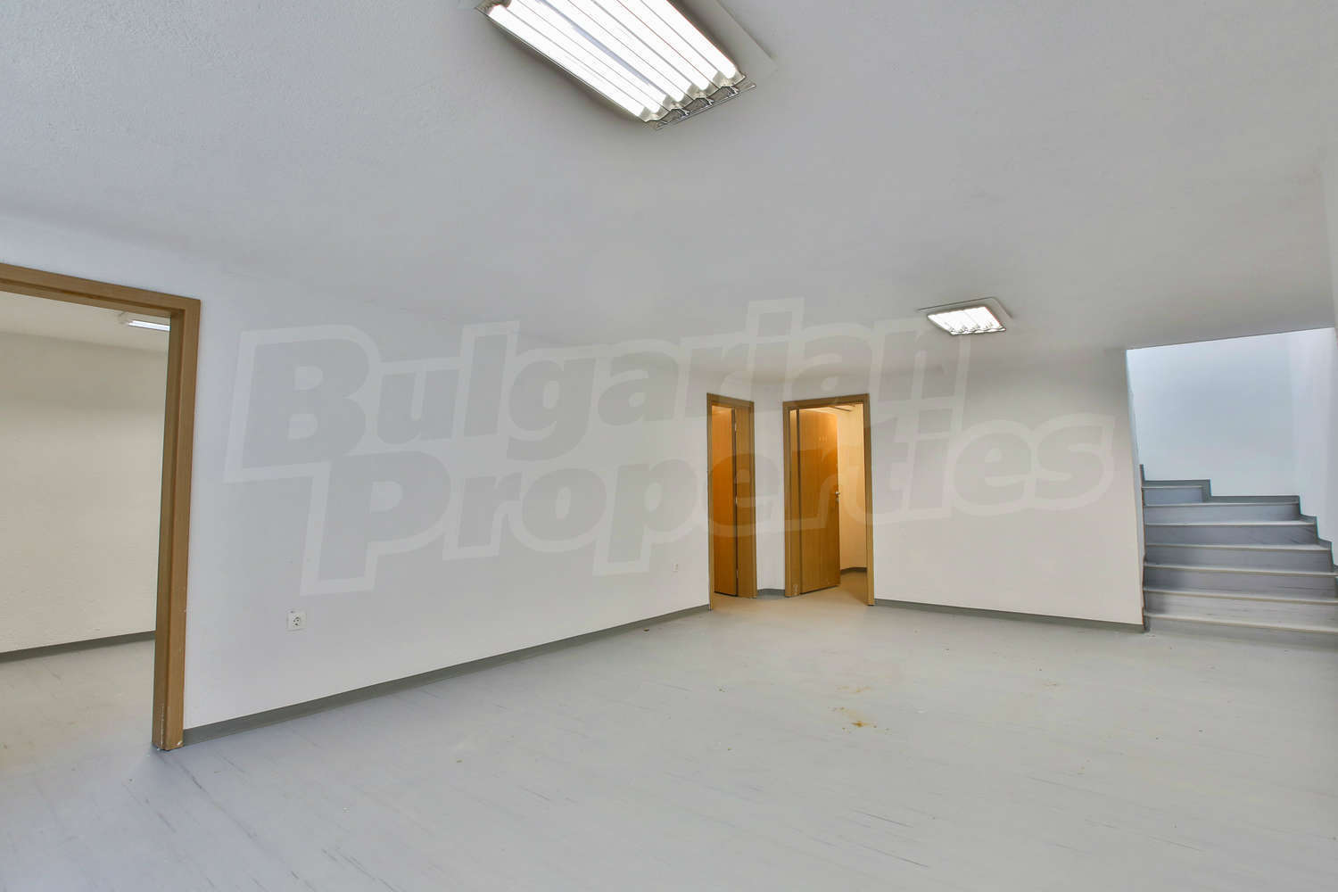 Gallery Picture 22