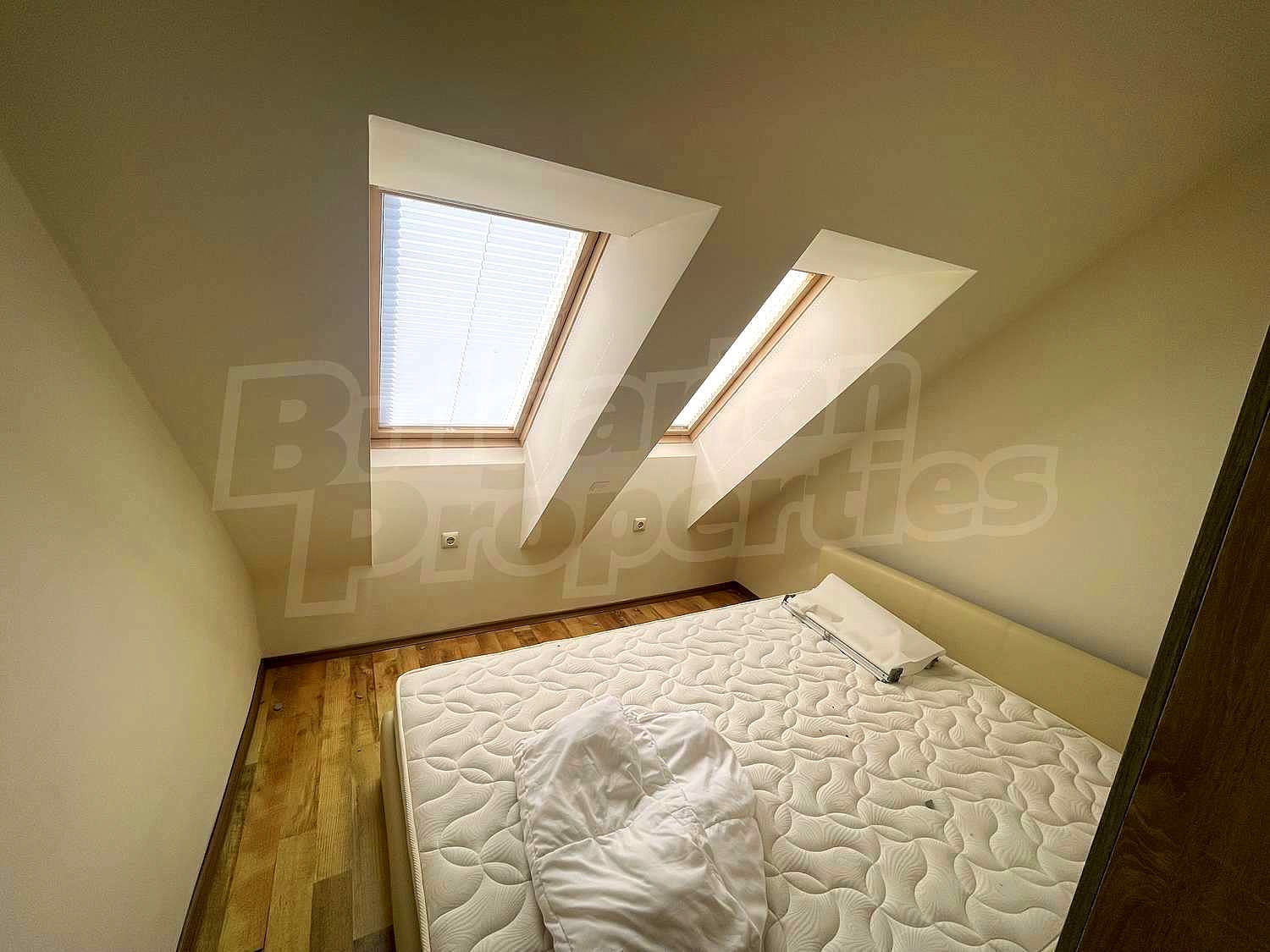 Gallery Picture 5