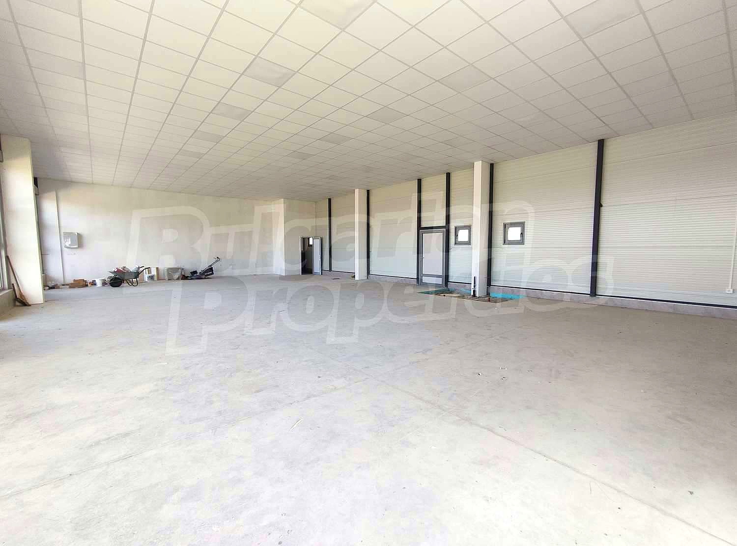 Gallery Picture 4