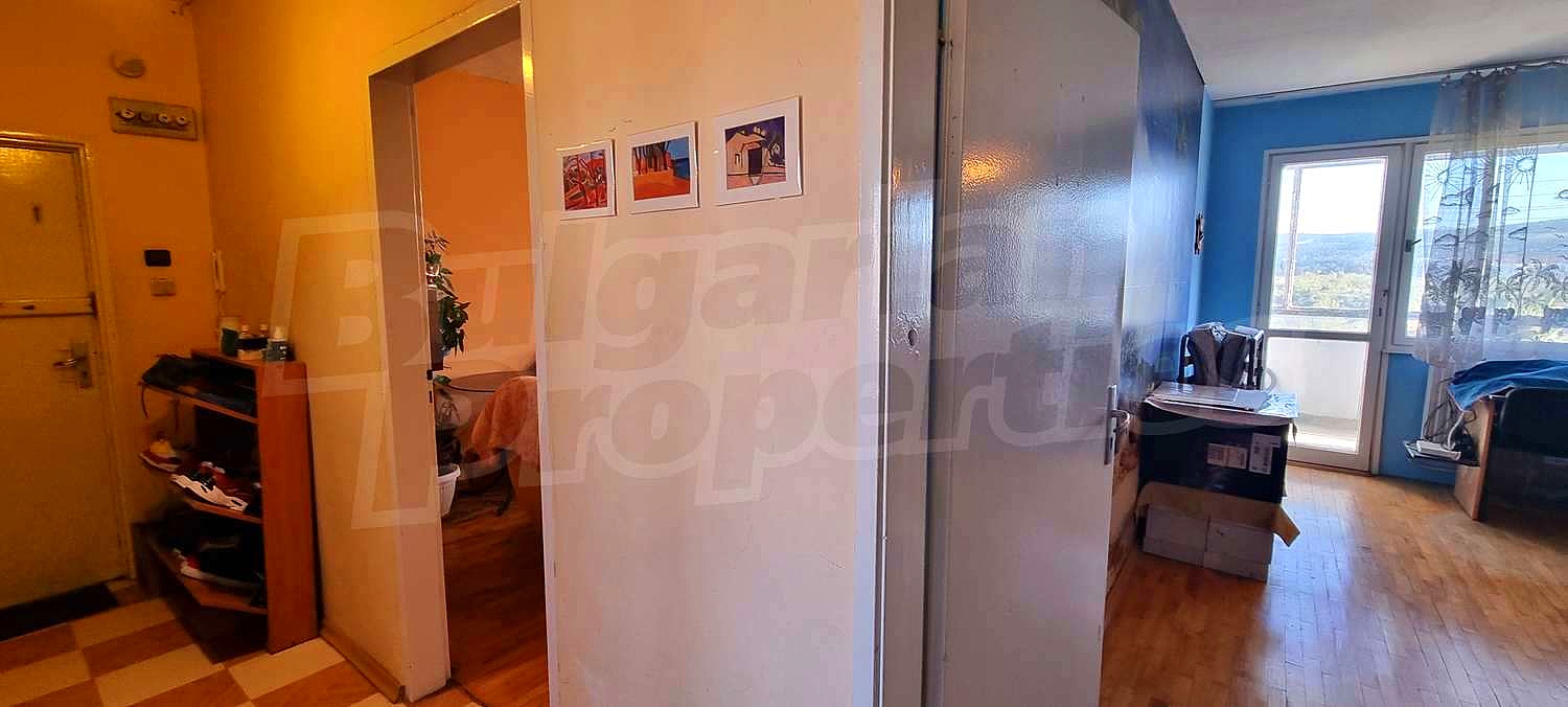 Gallery Picture 7