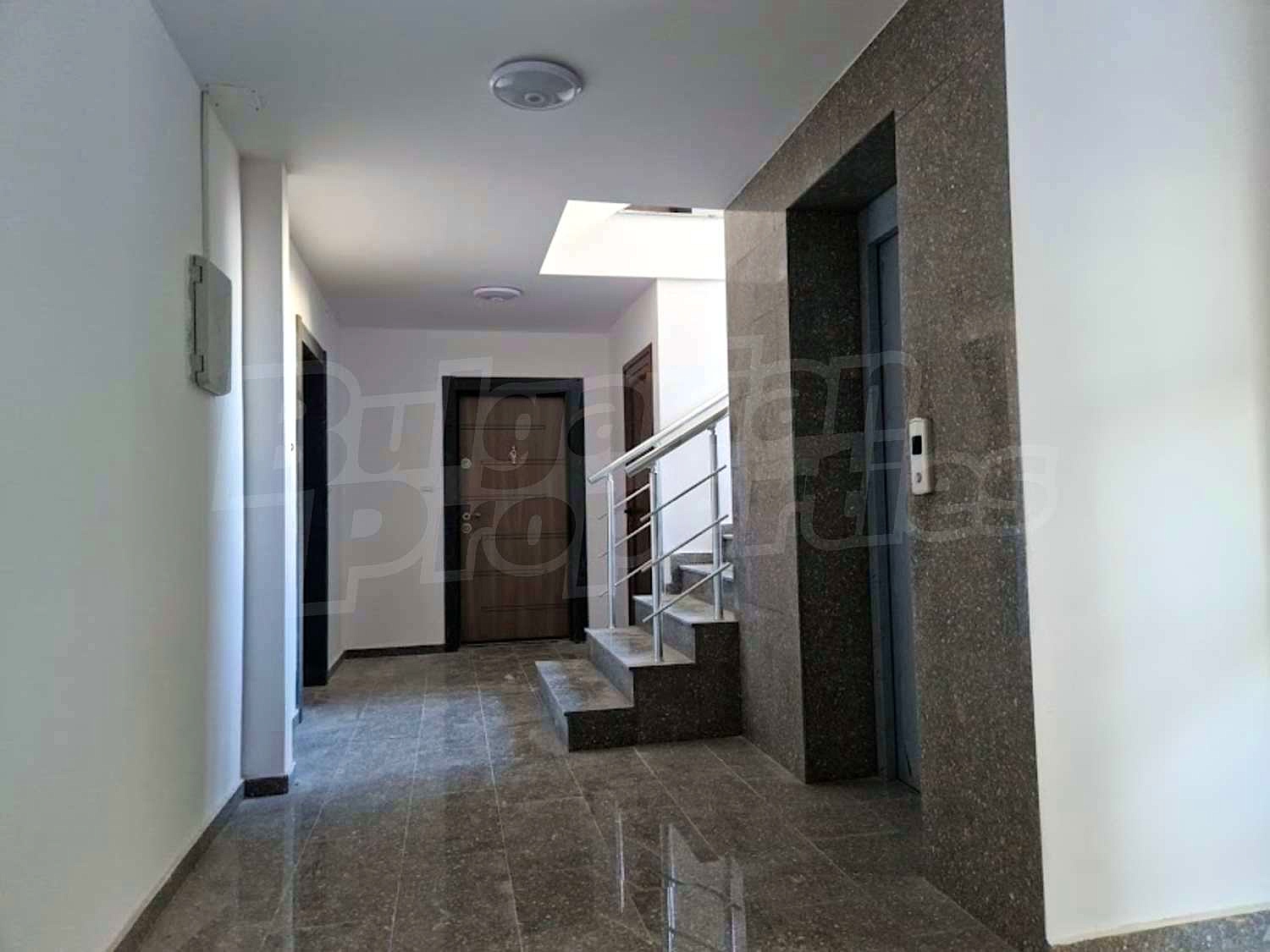 Gallery Picture 5