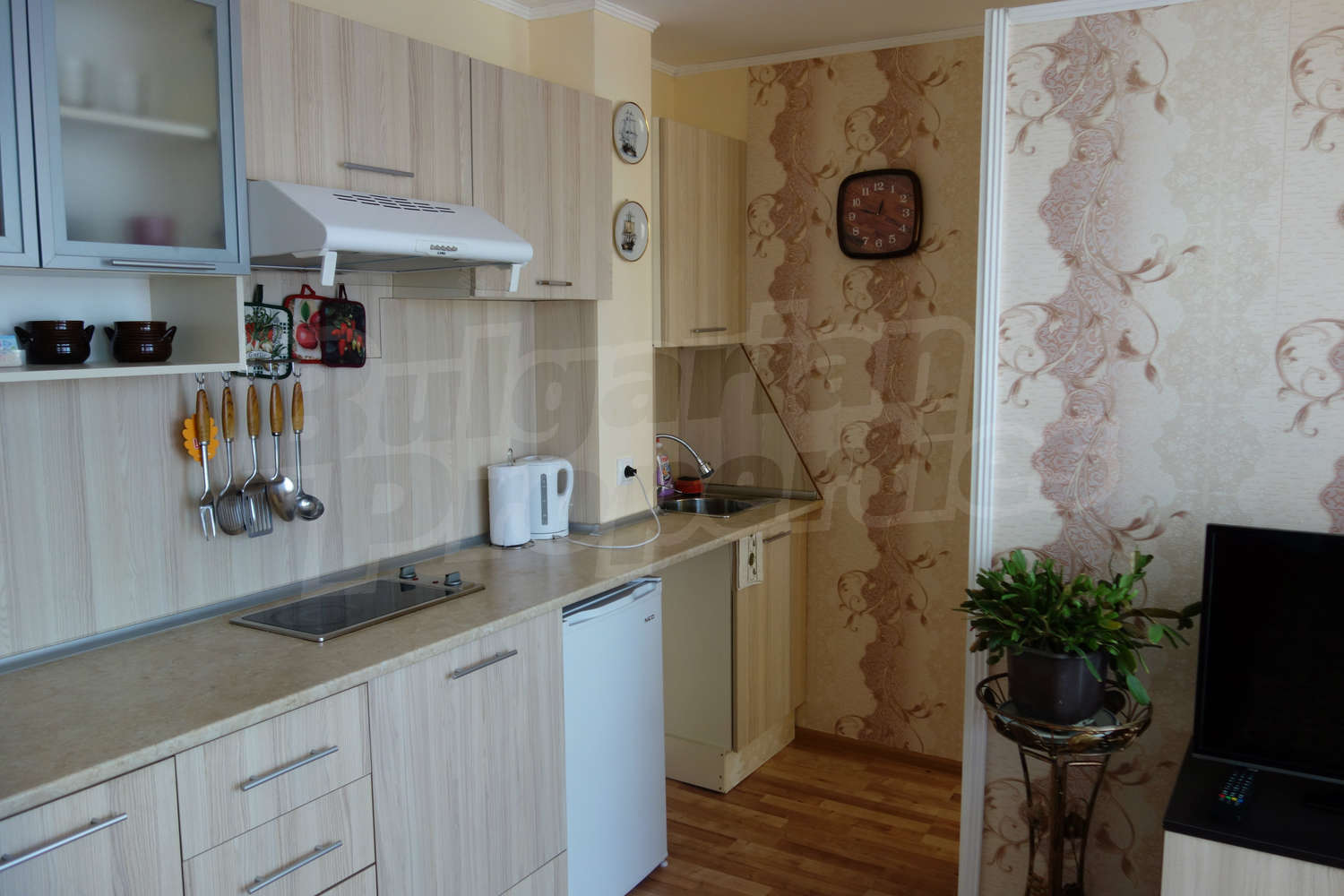Gallery Picture 10
