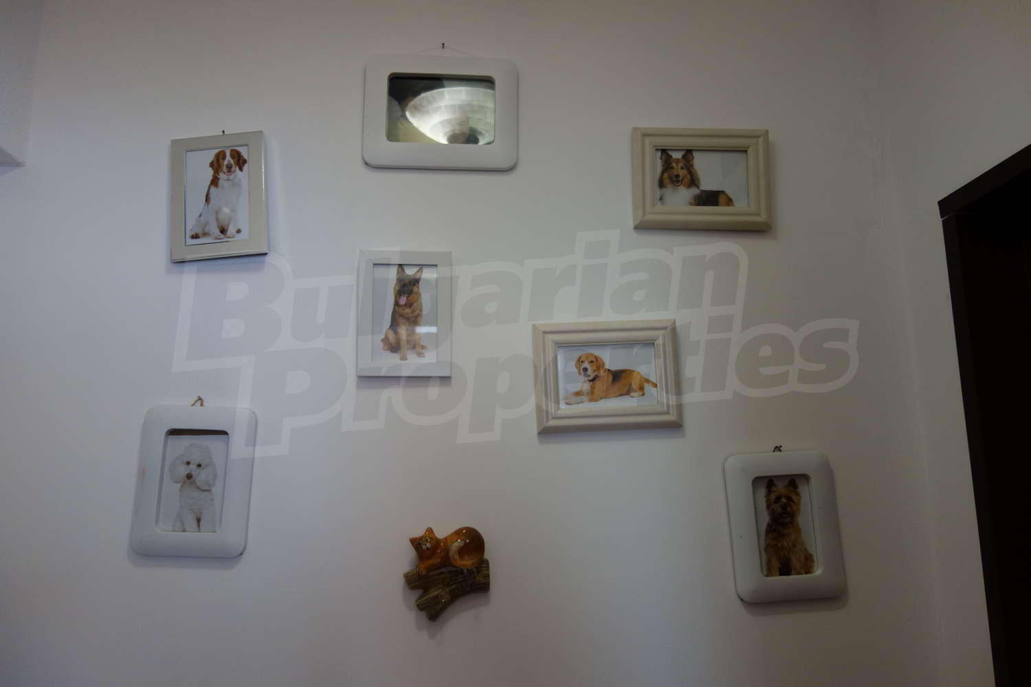 Gallery Picture 31