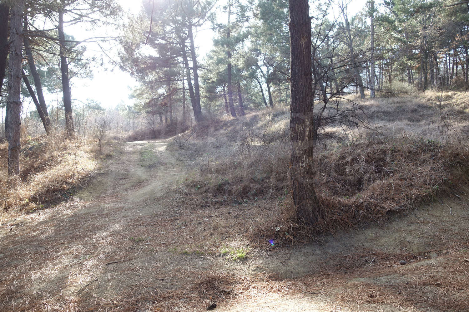 Gallery Picture 11