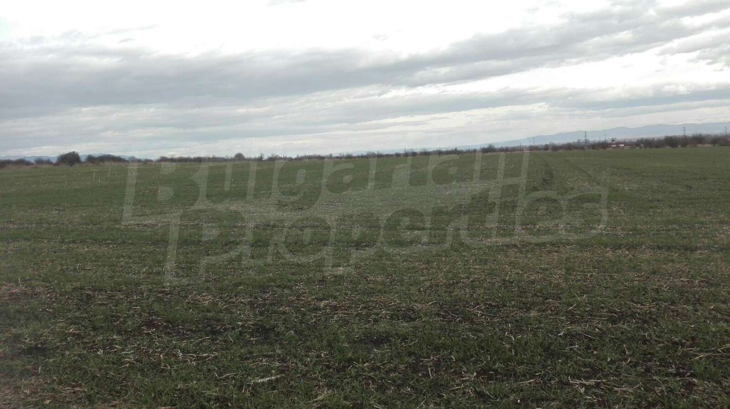 Gallery Picture 6