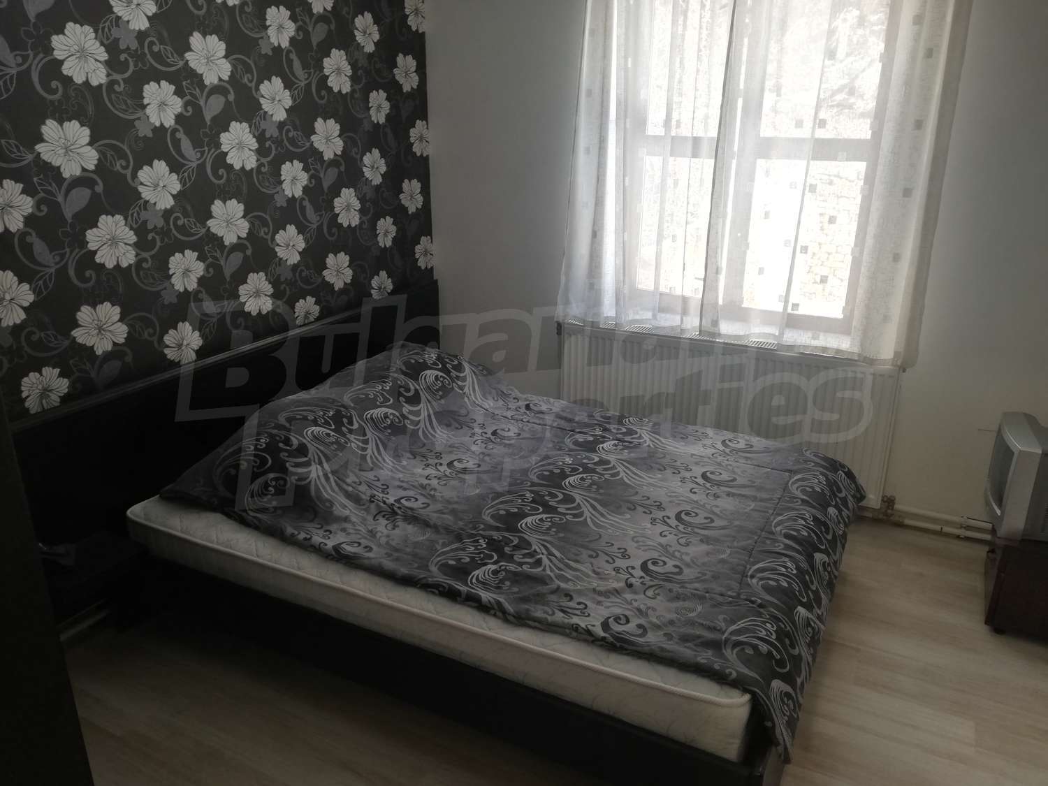 Gallery Picture 28