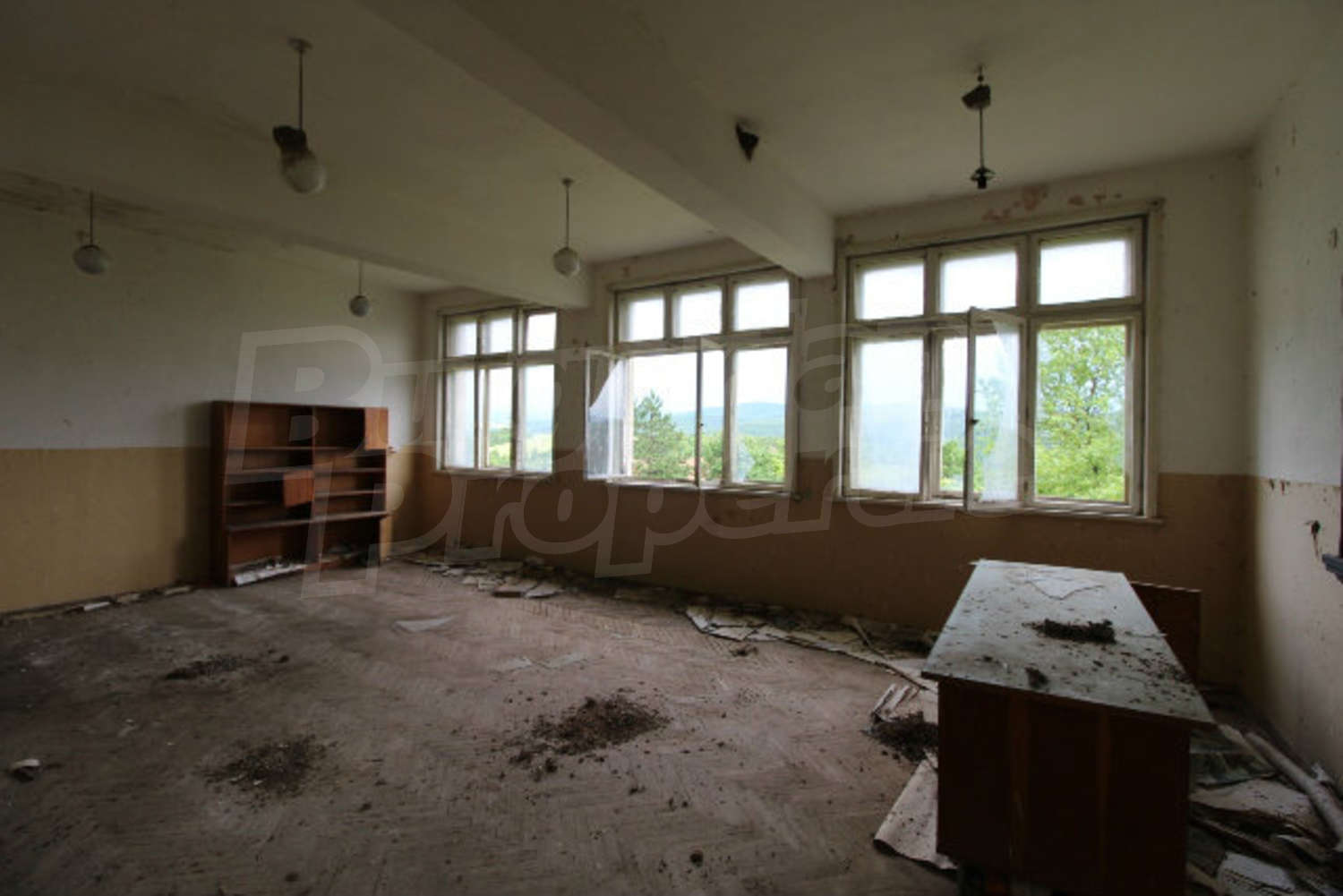 Gallery Picture 34