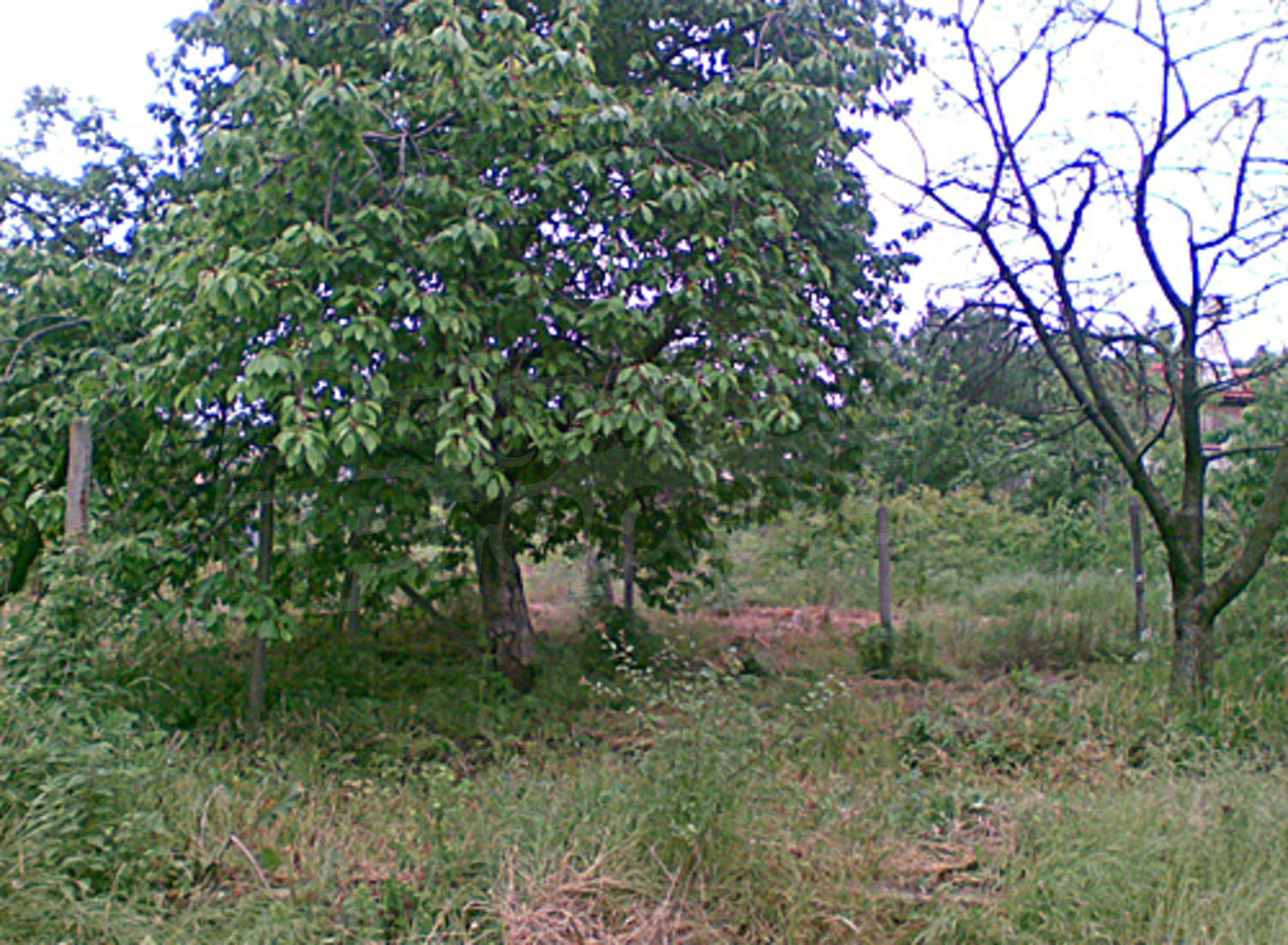 Gallery Picture 8