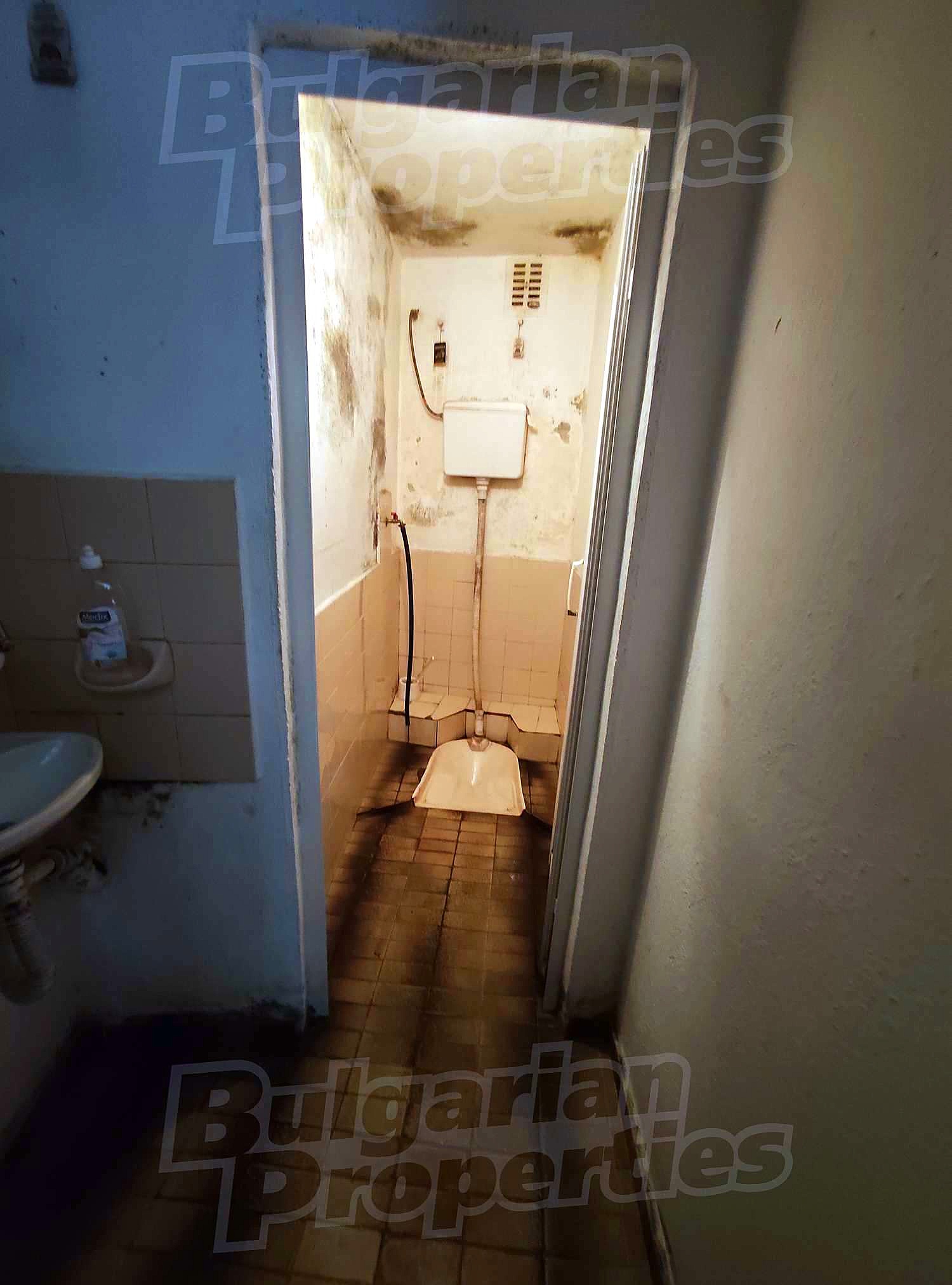 Gallery Picture 11