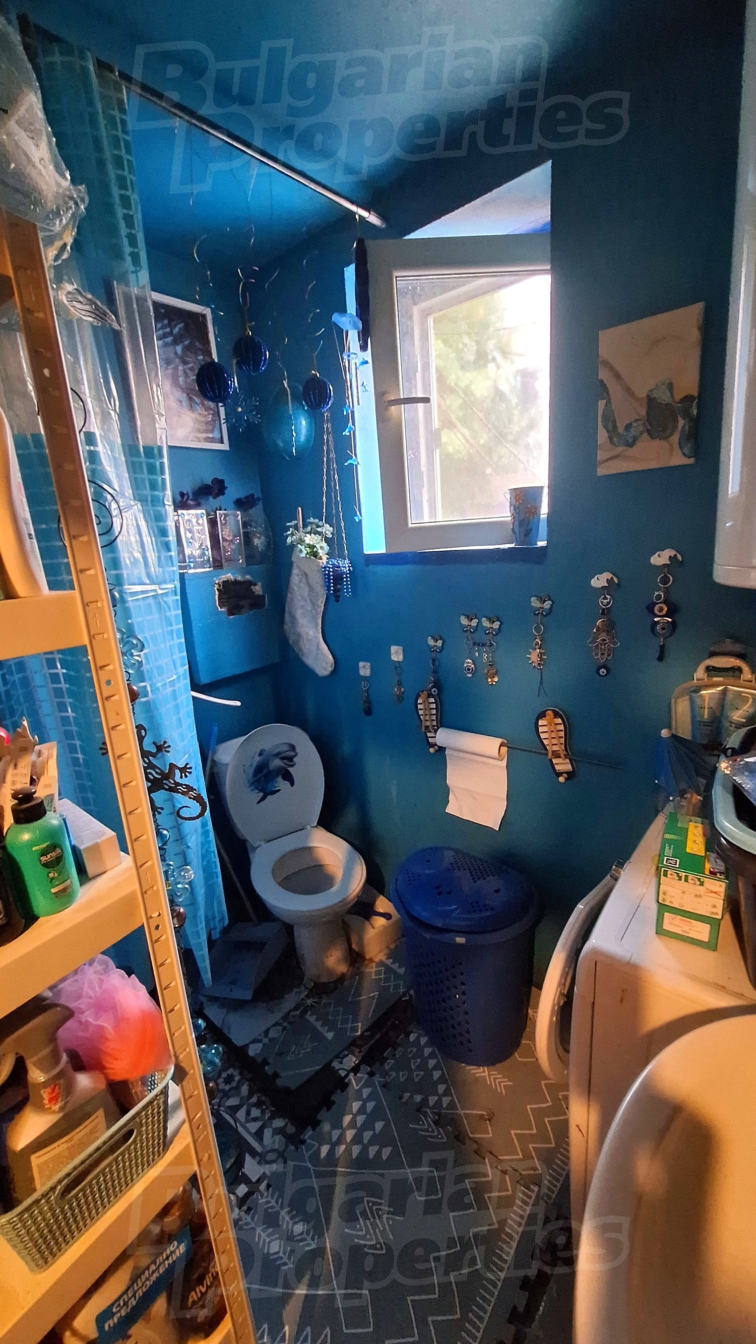 Gallery Picture 6