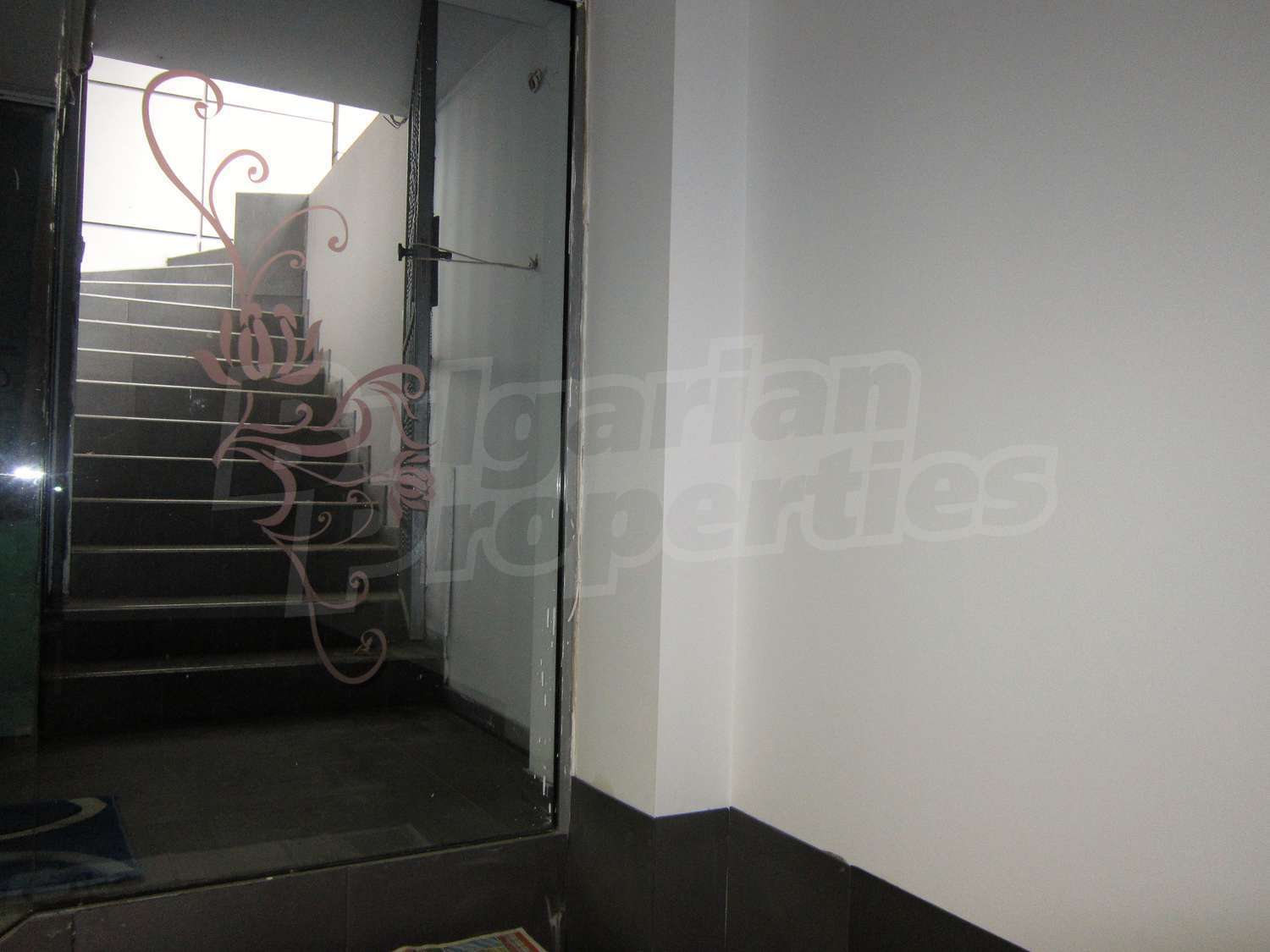 Gallery Picture 6