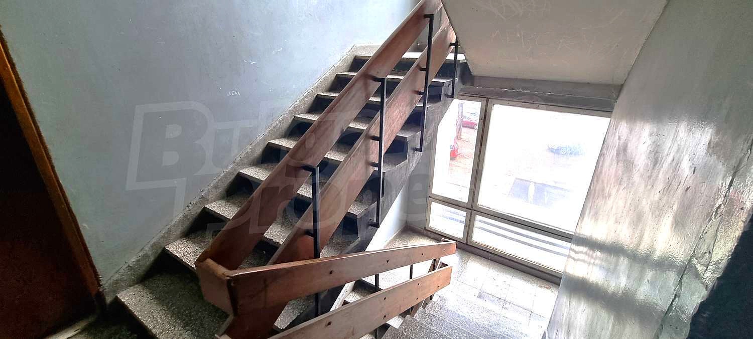 Gallery Picture 17