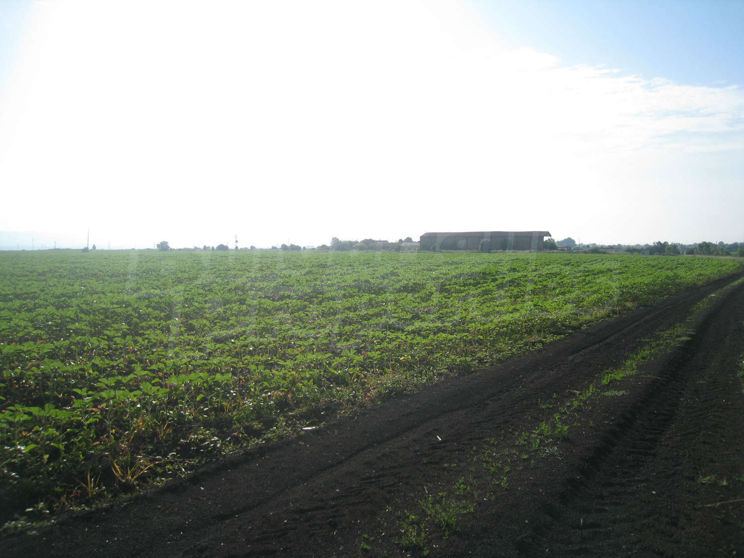 Gallery Picture 5