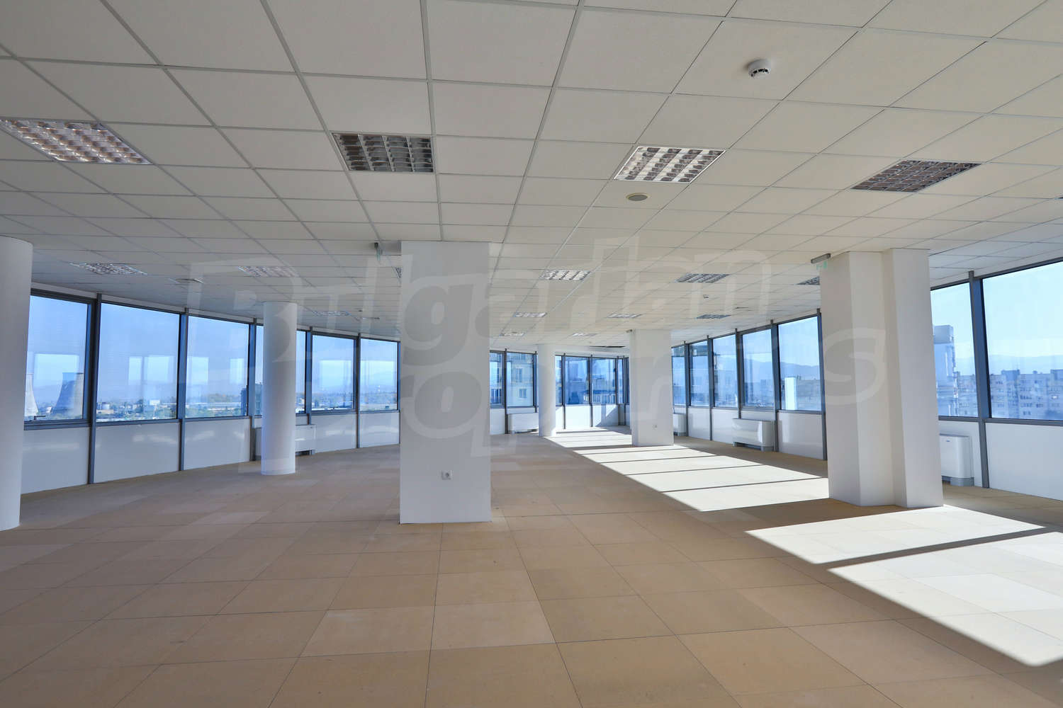 Gallery Picture 2