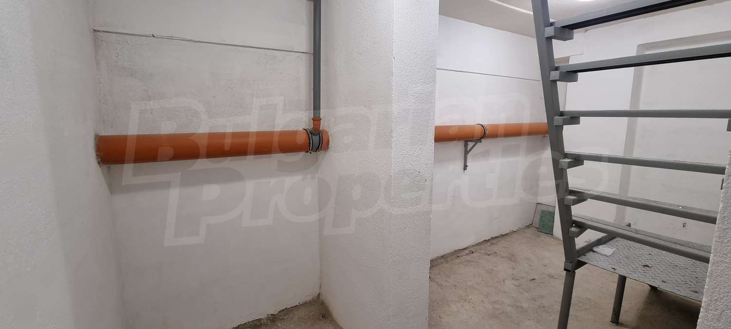 Gallery Picture 8