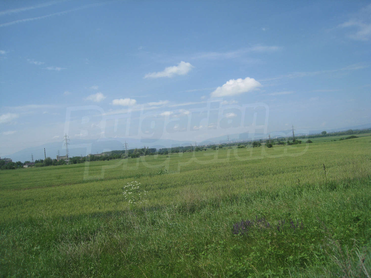Gallery Picture 5