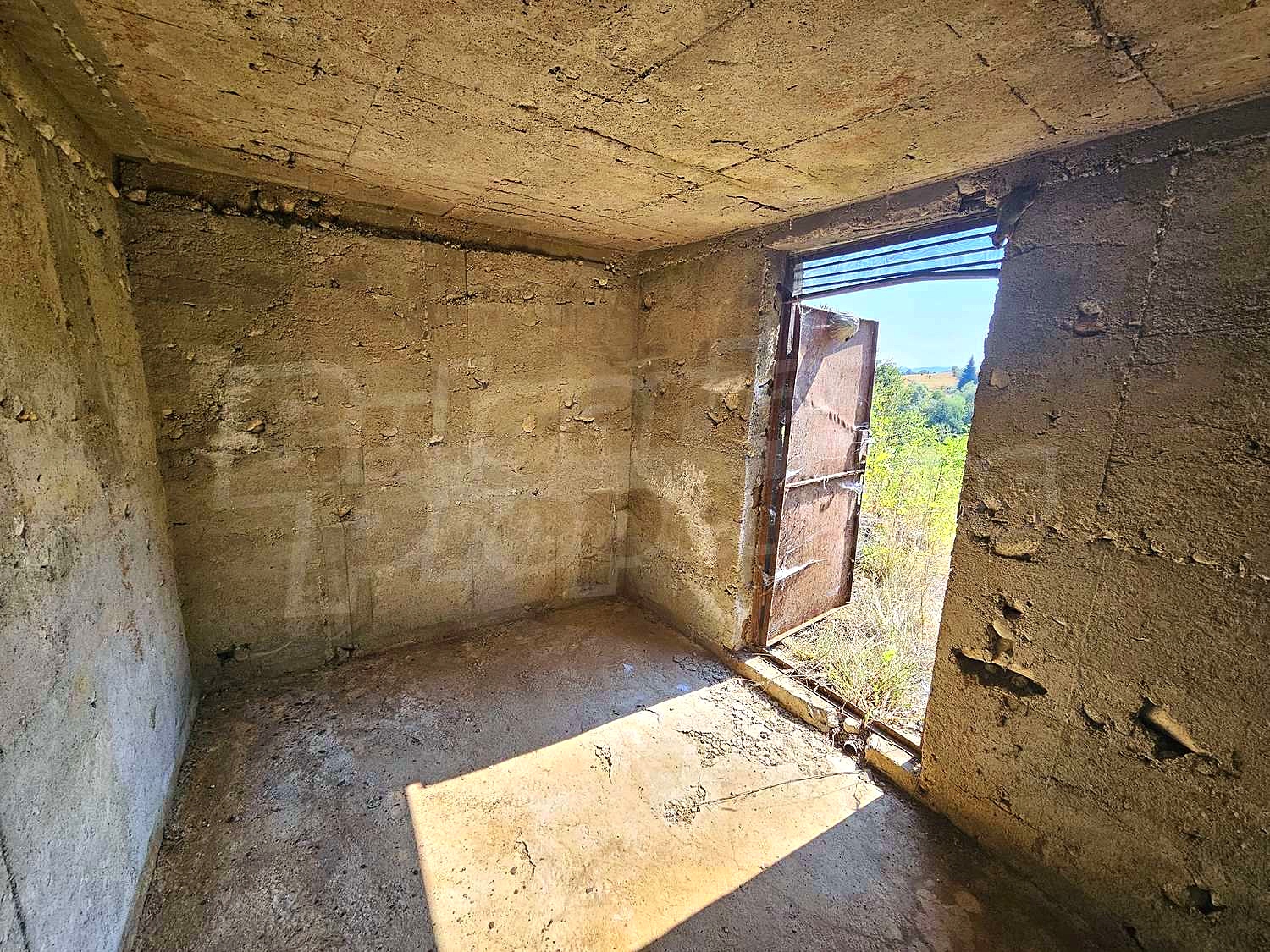 Gallery Picture 15